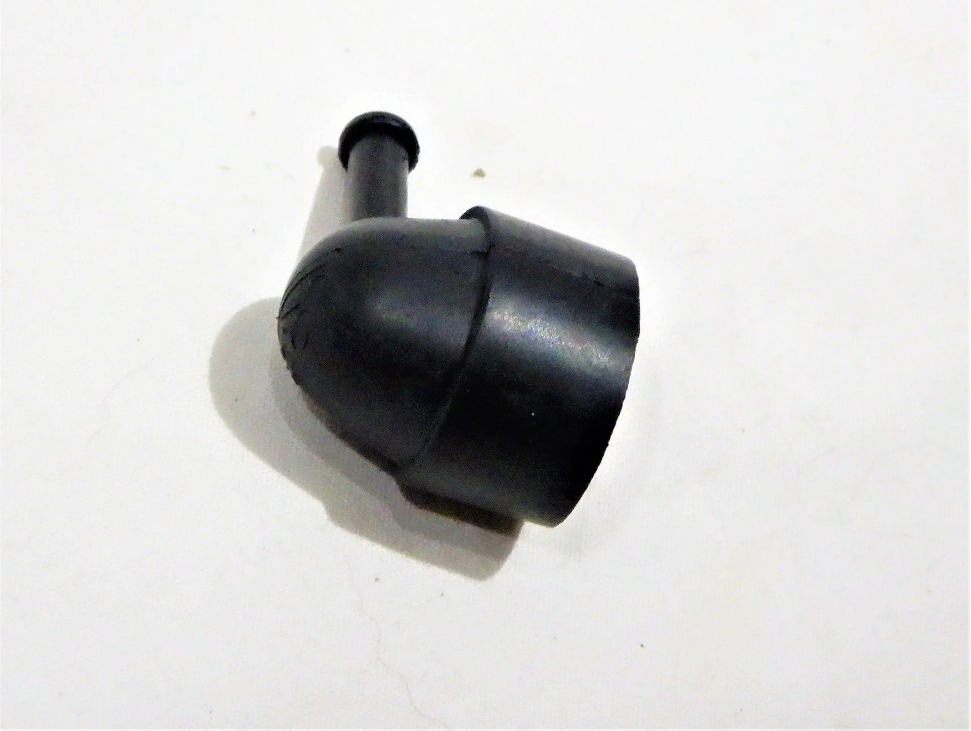 DSCN4690.webp