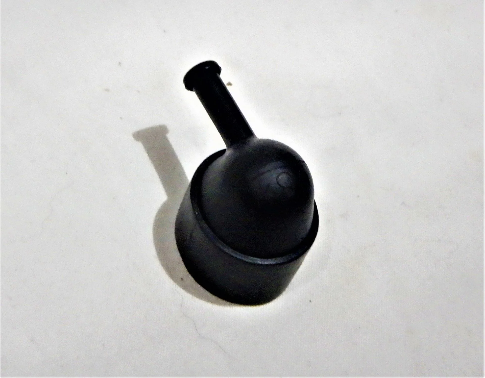 DSCN4691.webp