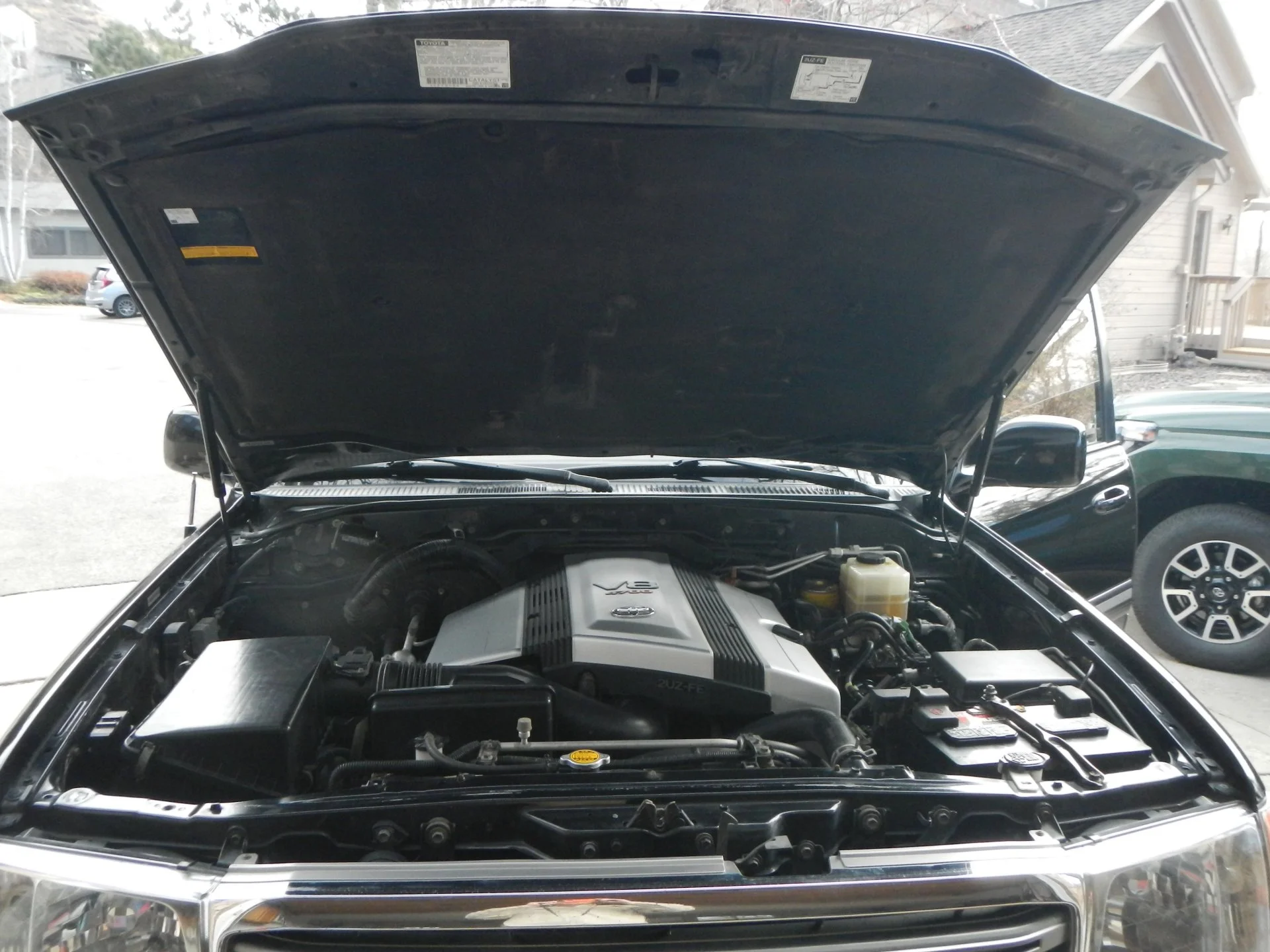 DSCN4762.webp