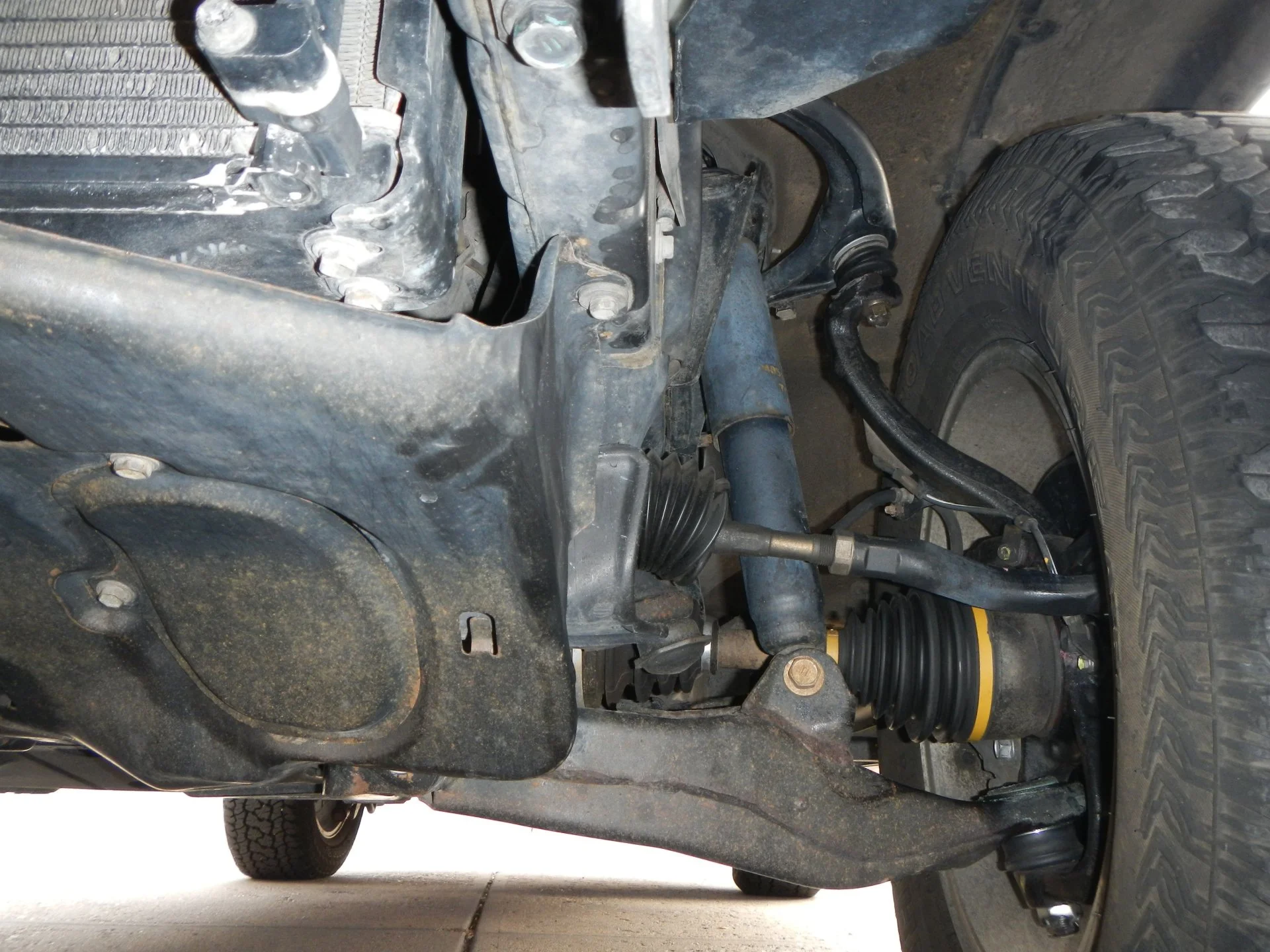 DSCN4770.webp