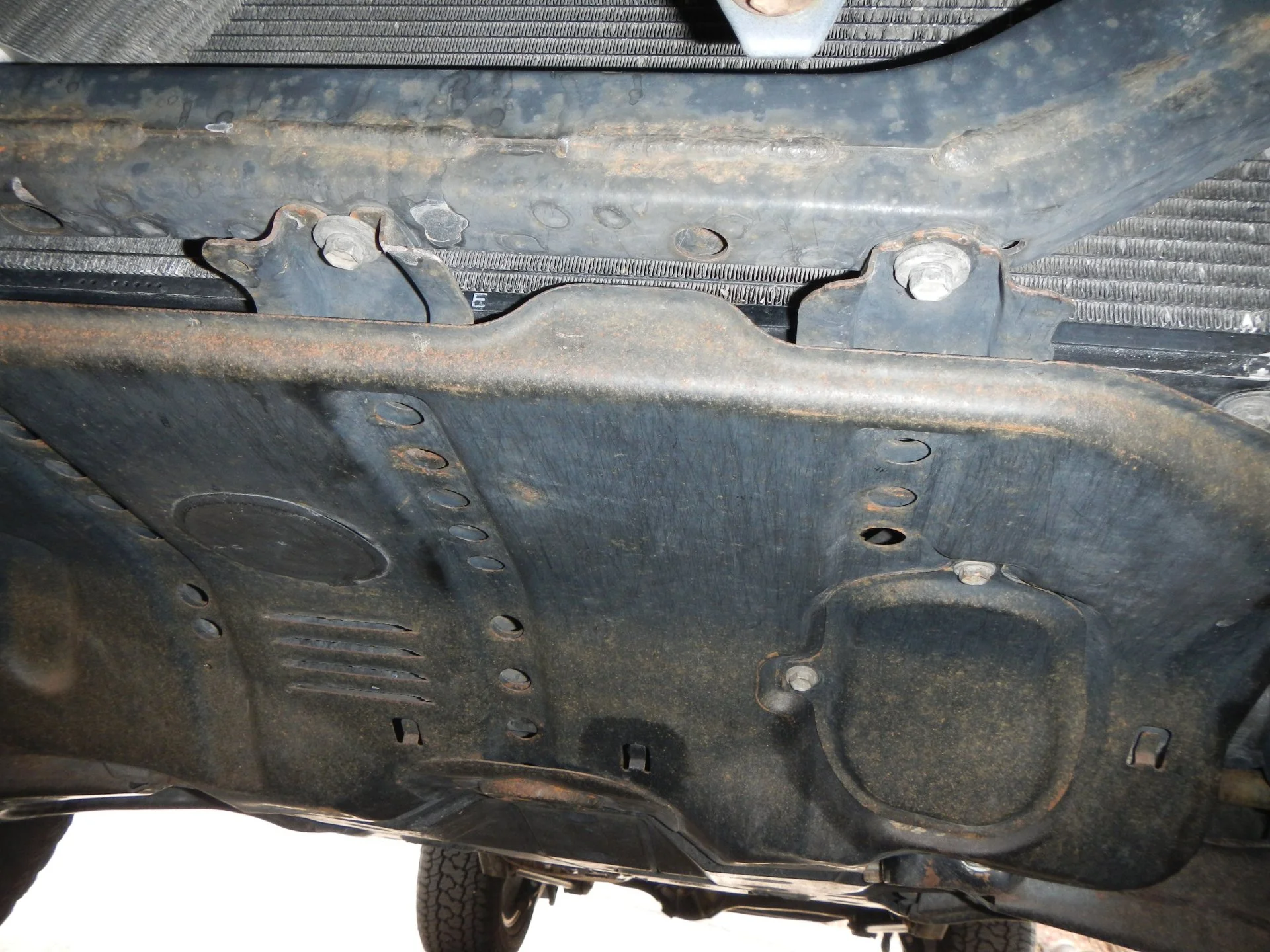 DSCN4771.webp
