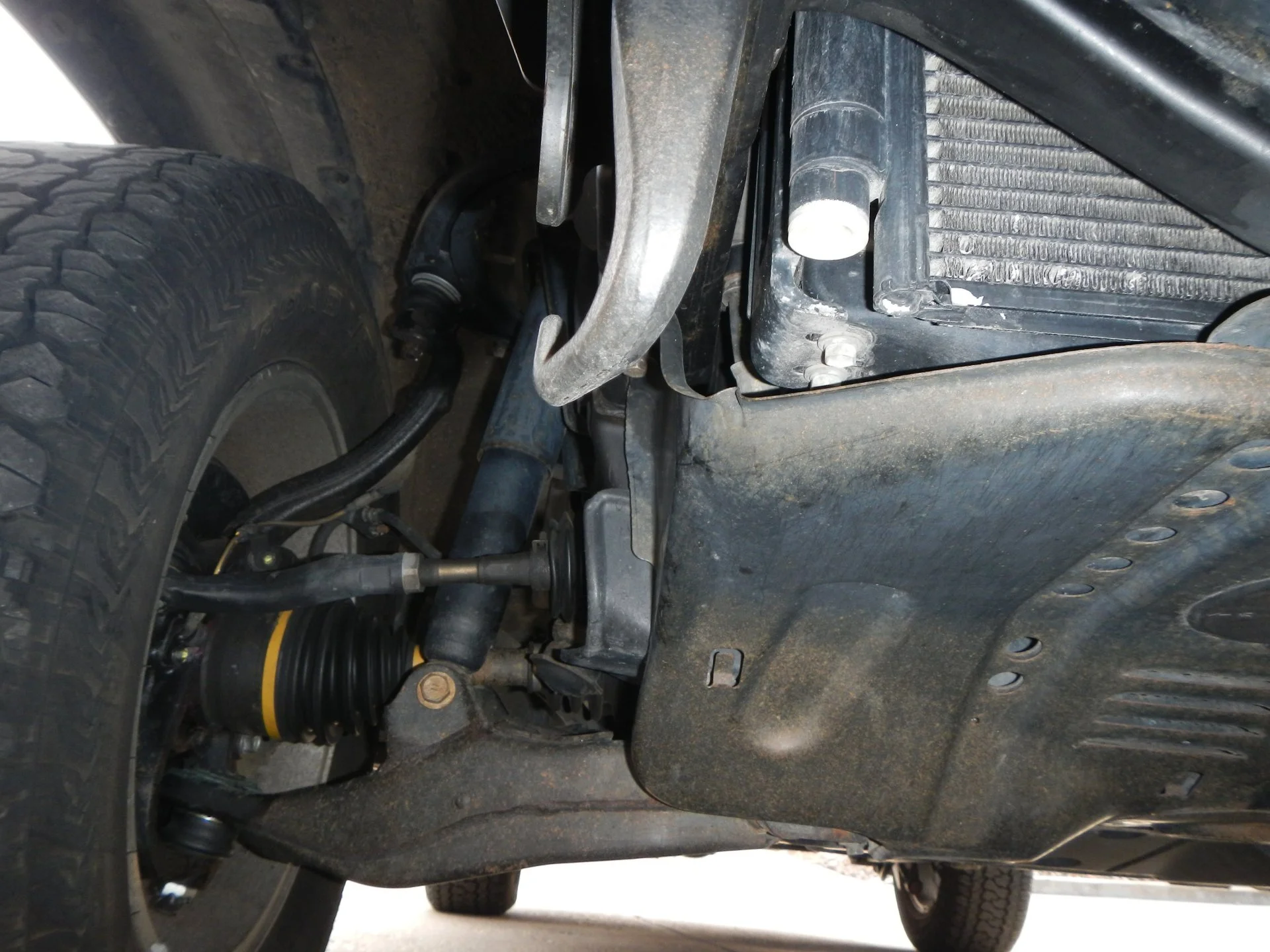 DSCN4772.webp