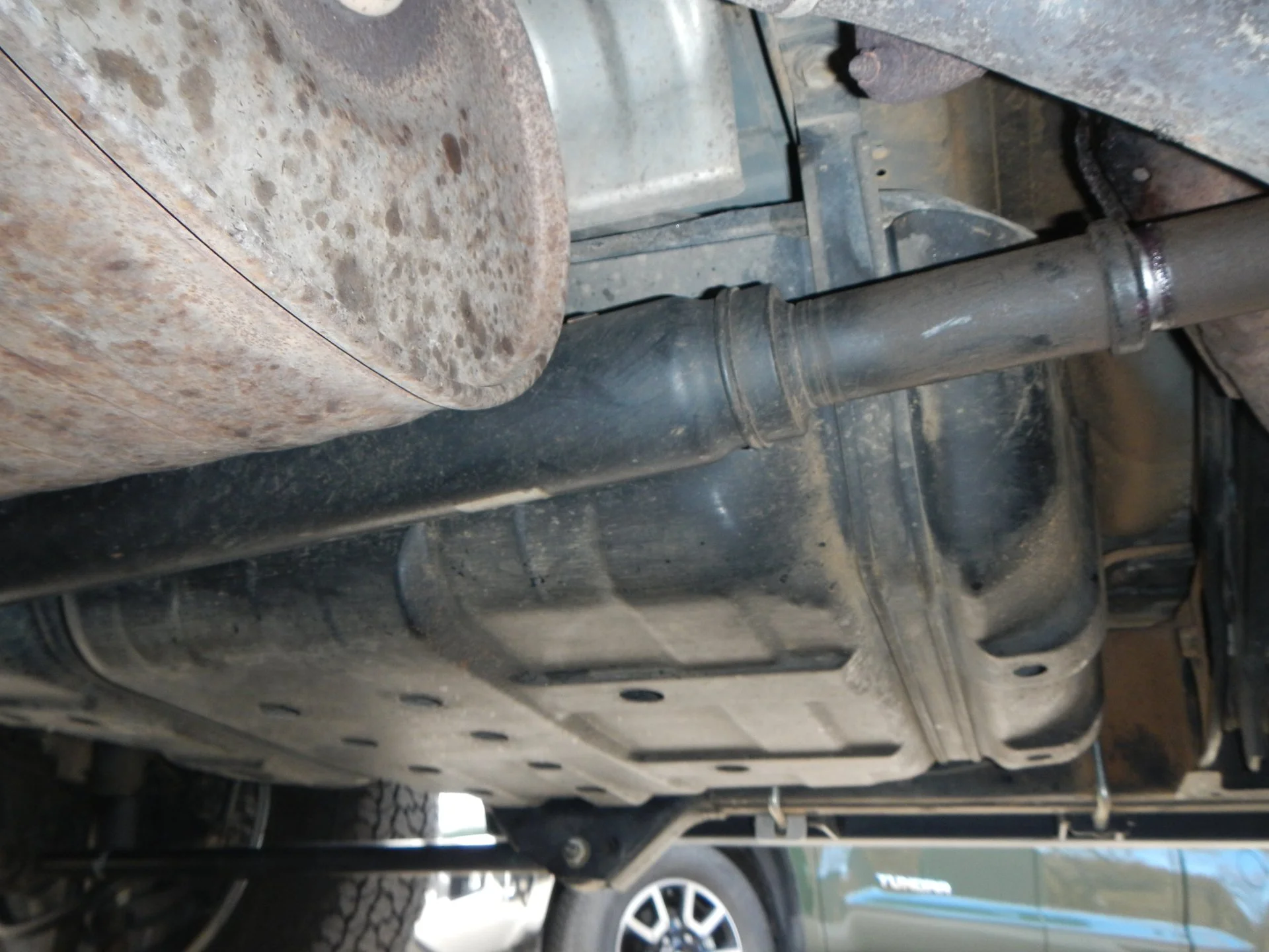 DSCN4789.webp