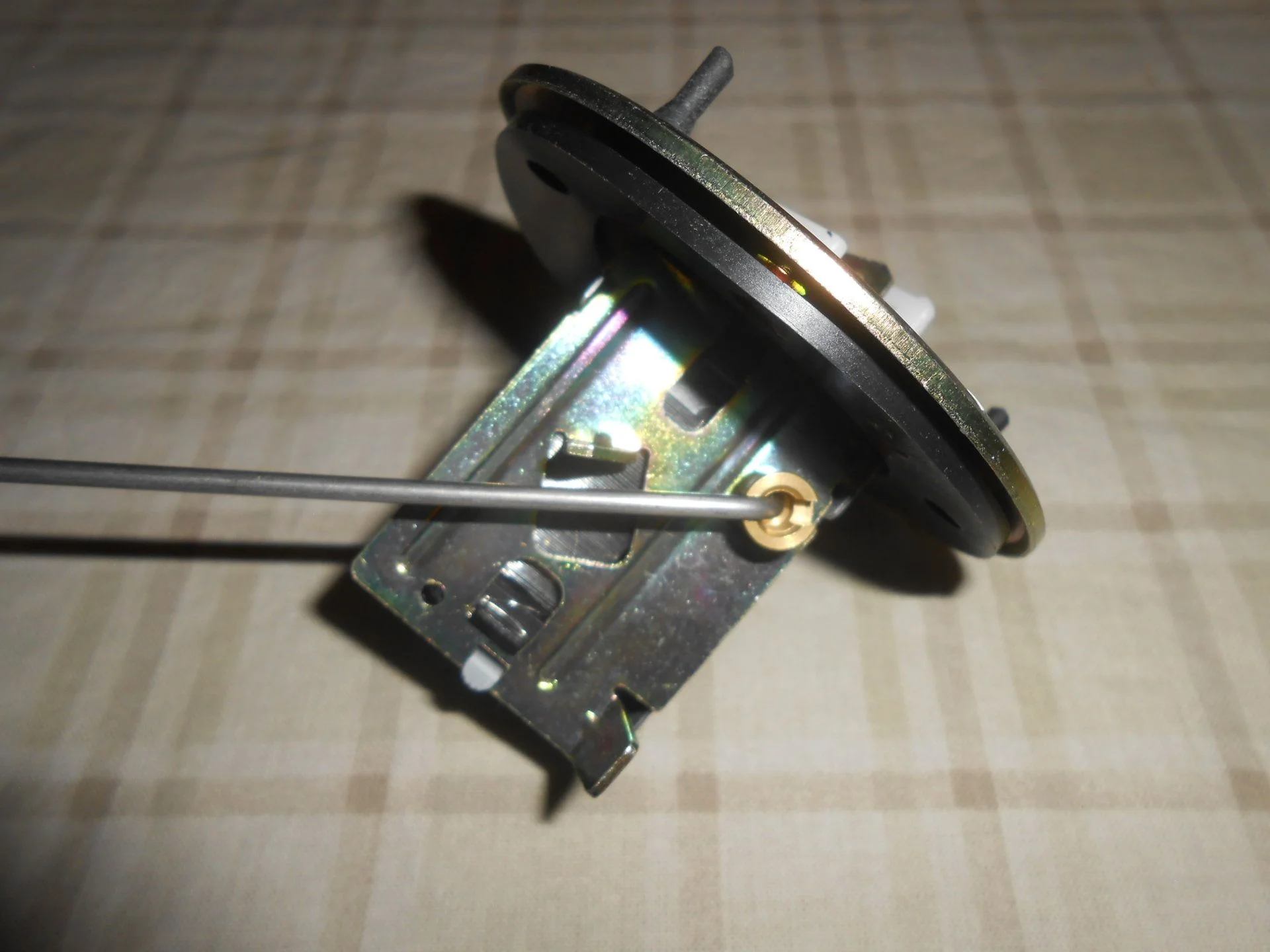DSCN4880.webp