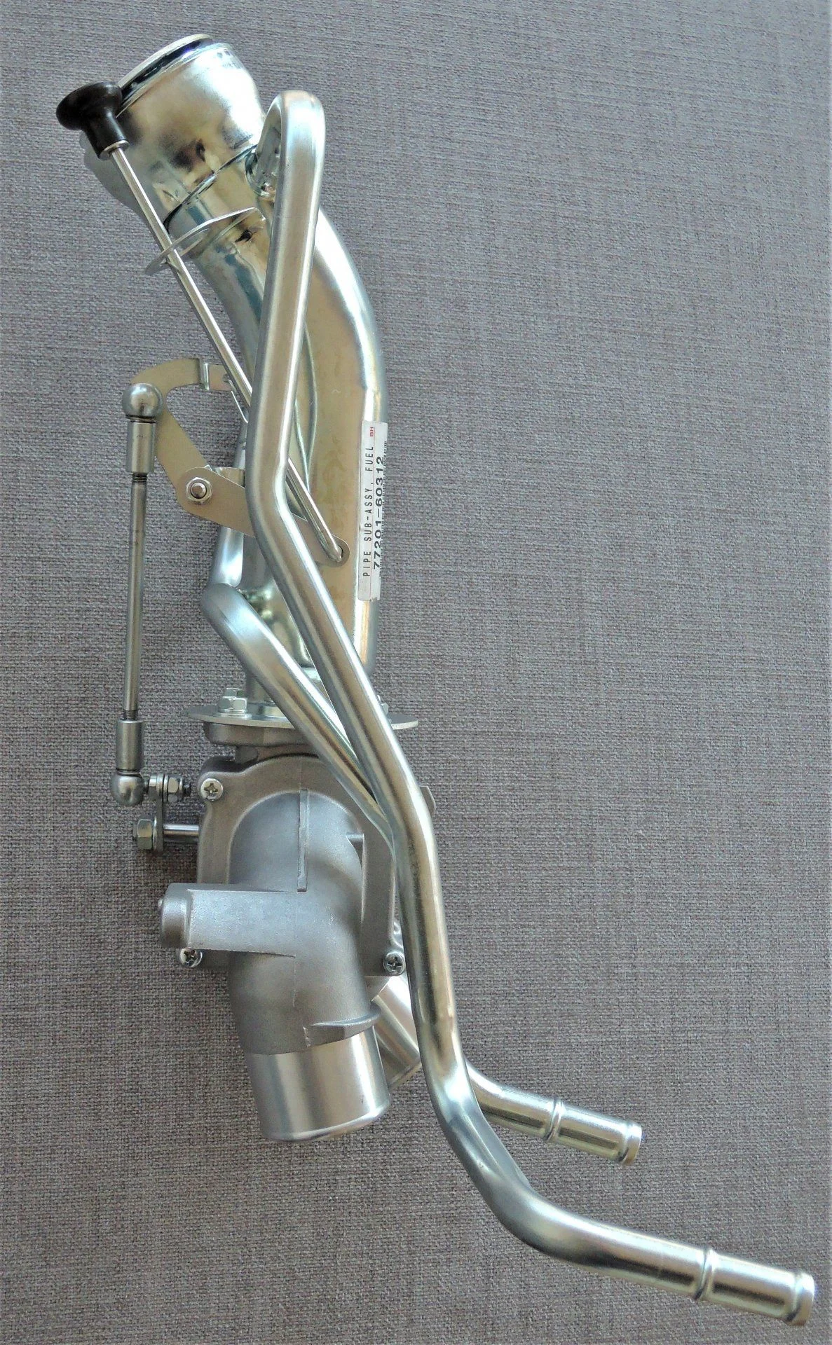 DSCN4934.webp