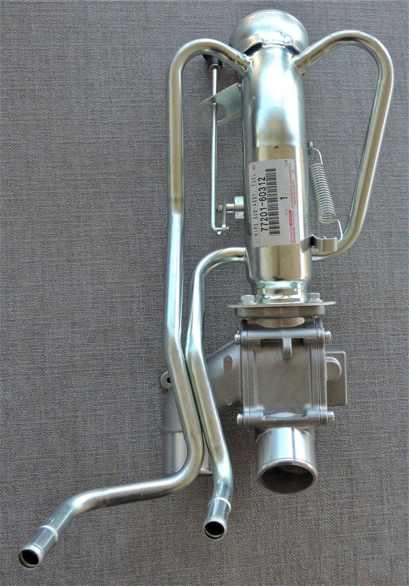 DSCN4935.webp