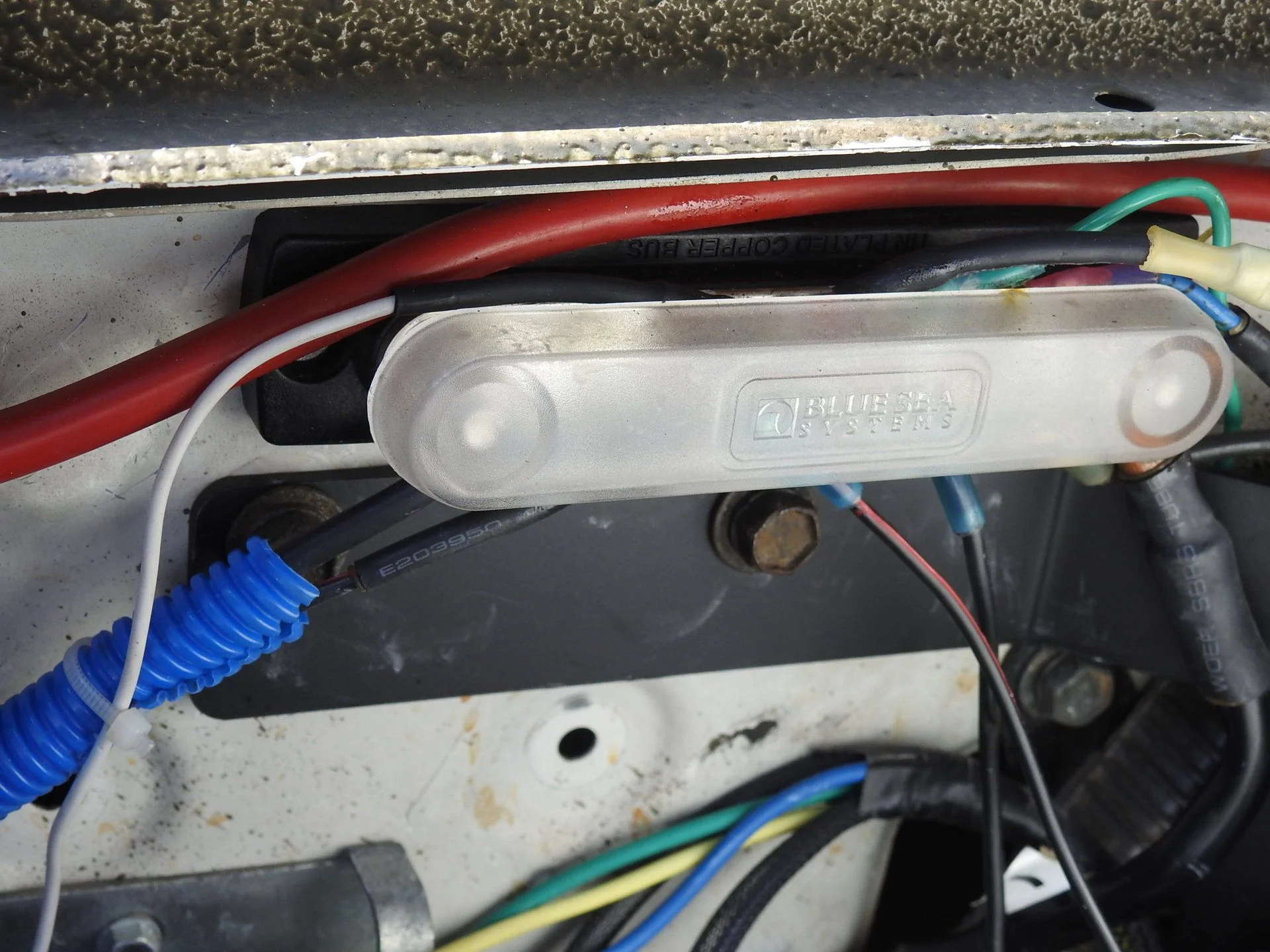 DSCN5135.webp