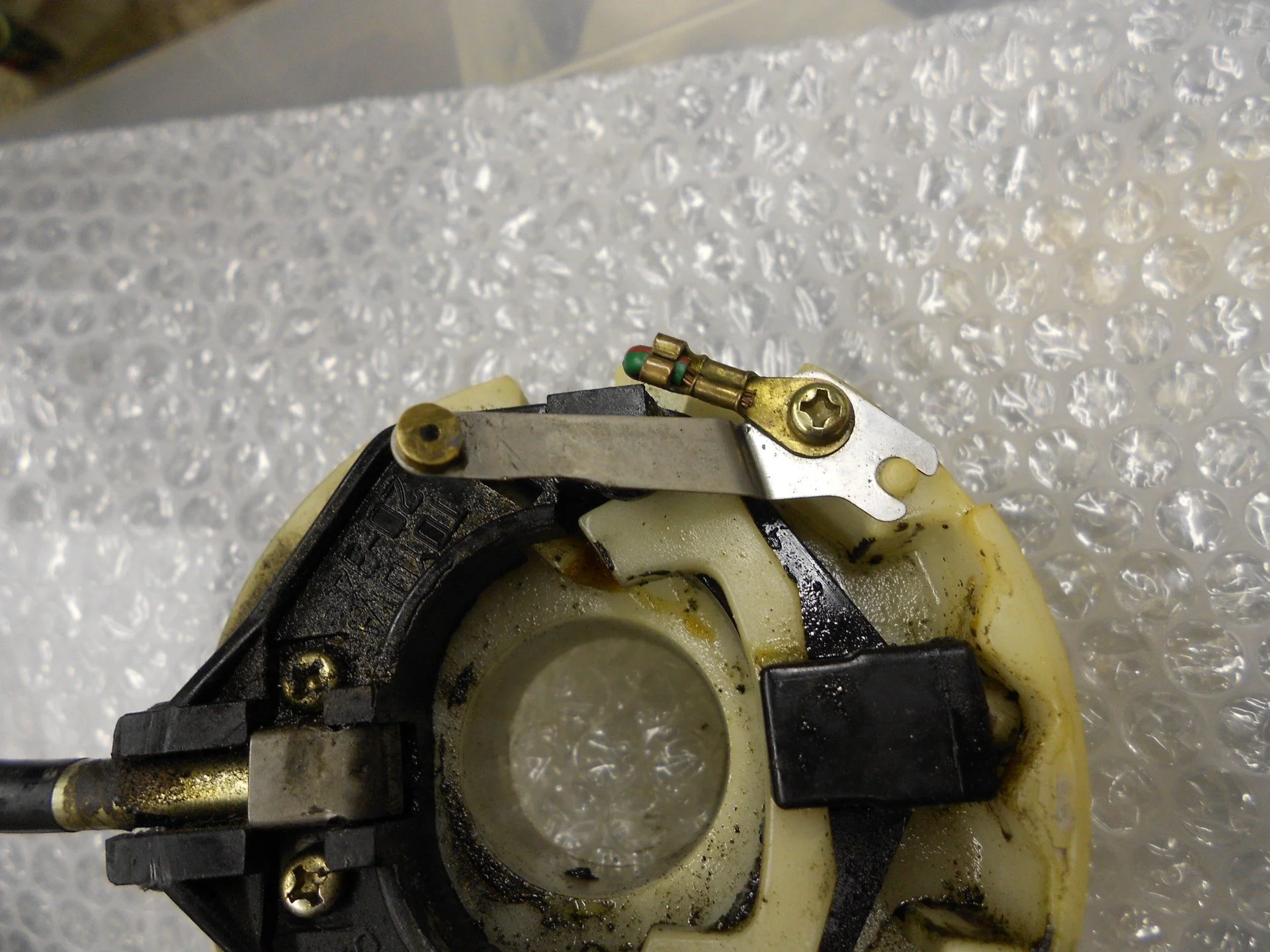 DSCN5175.webp