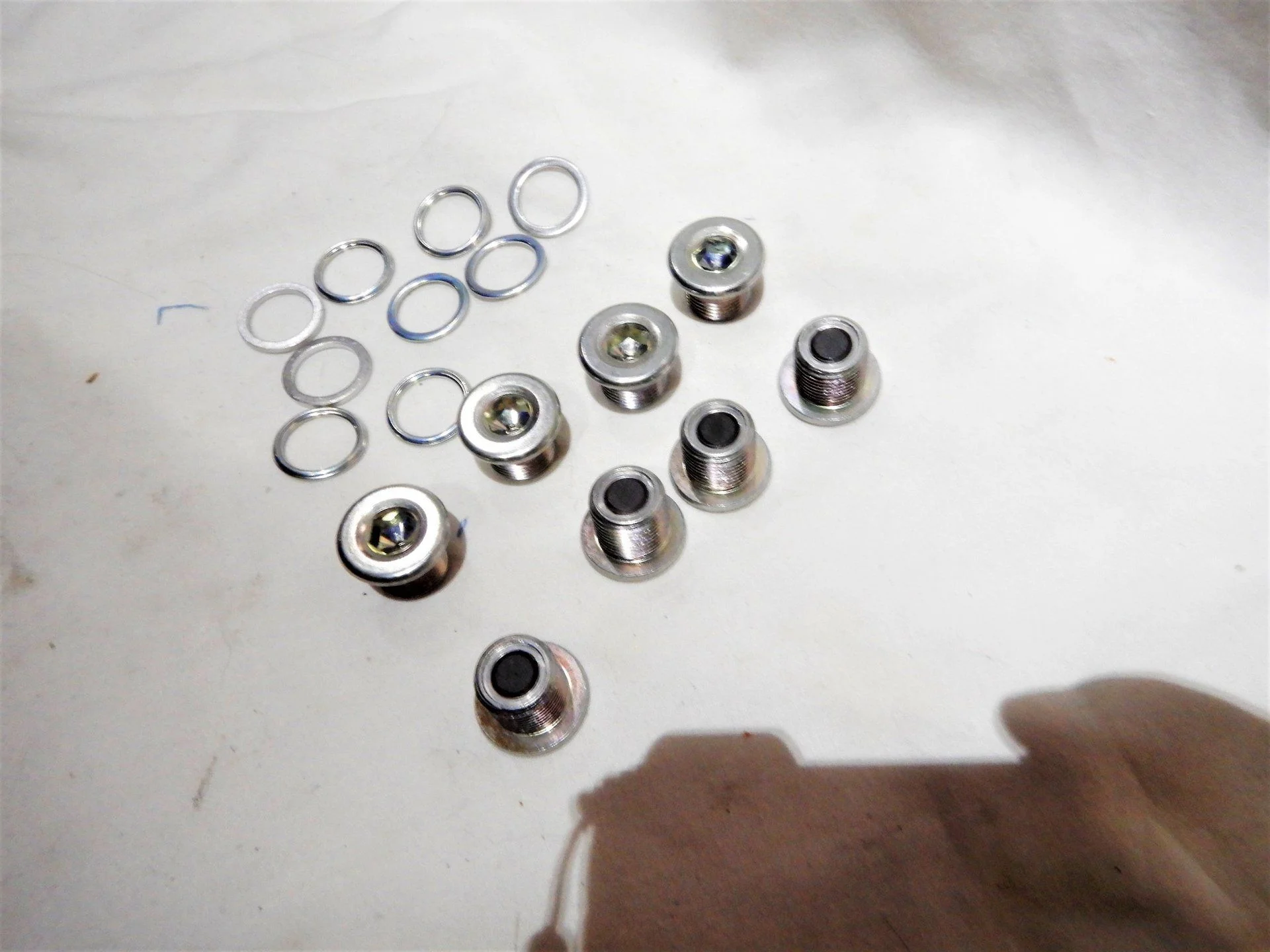 DSCN5196.webp