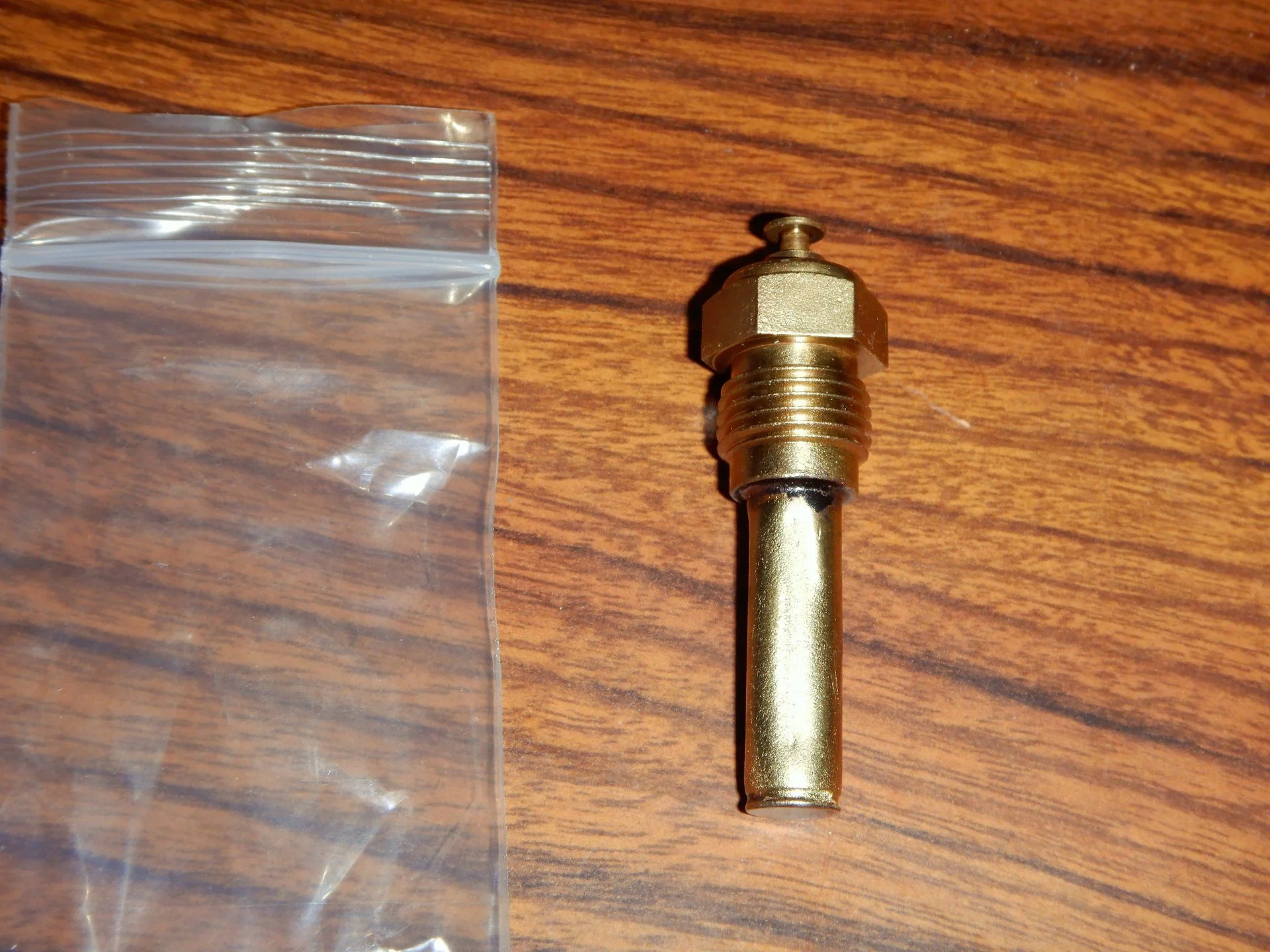 DSCN5248.webp