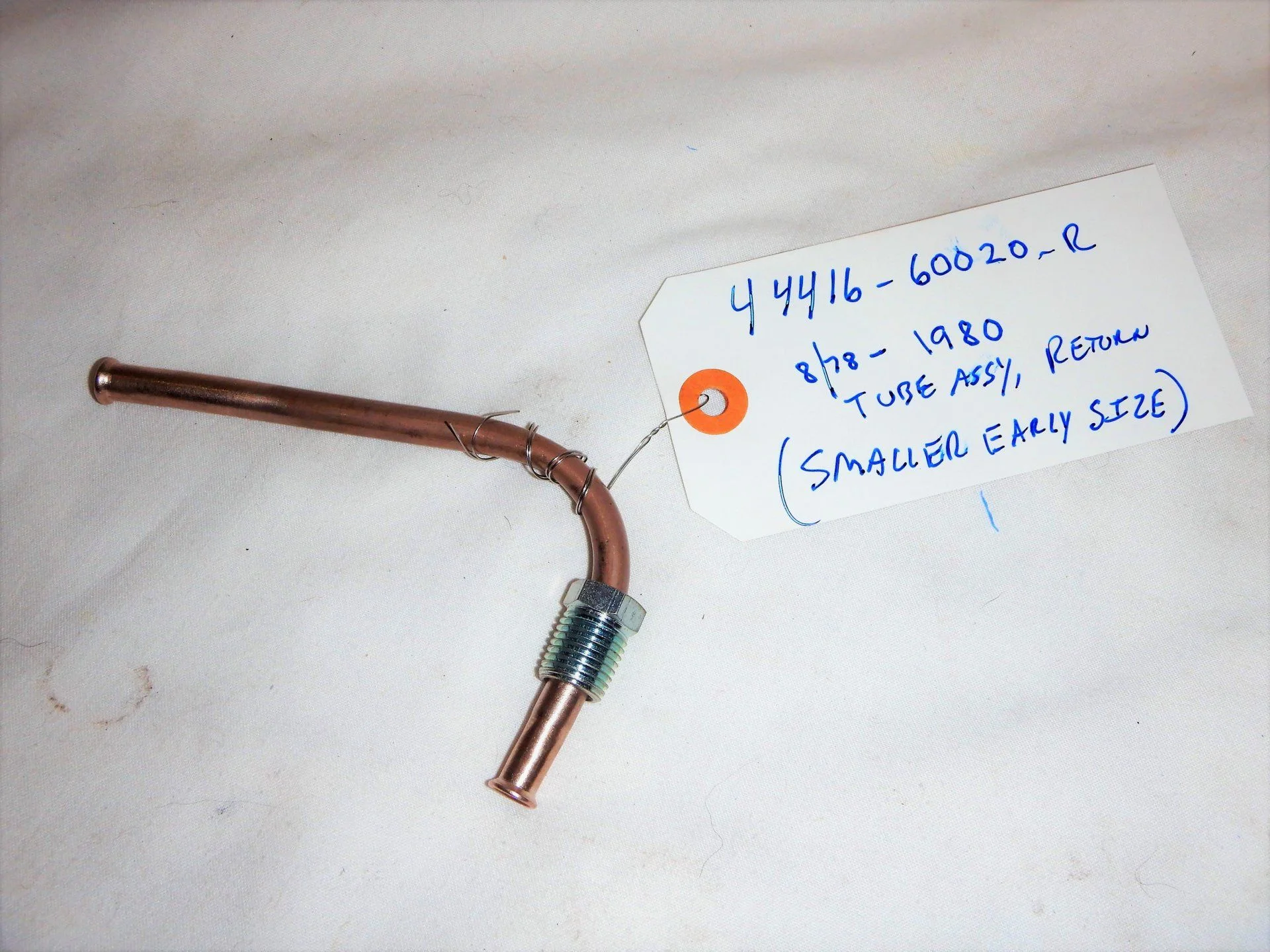 DSCN5254.webp