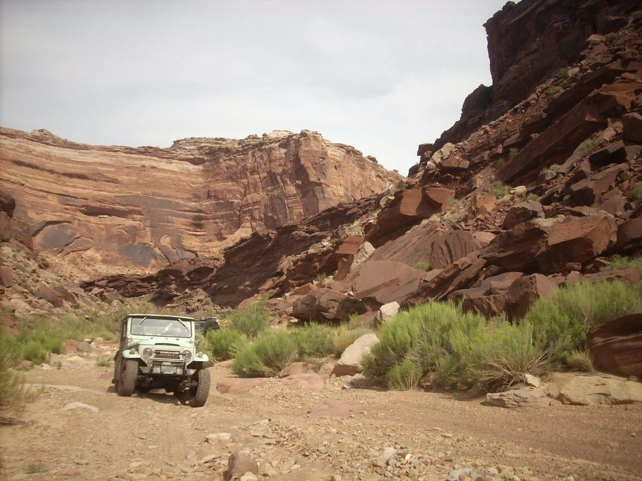 DSCN5442.webp