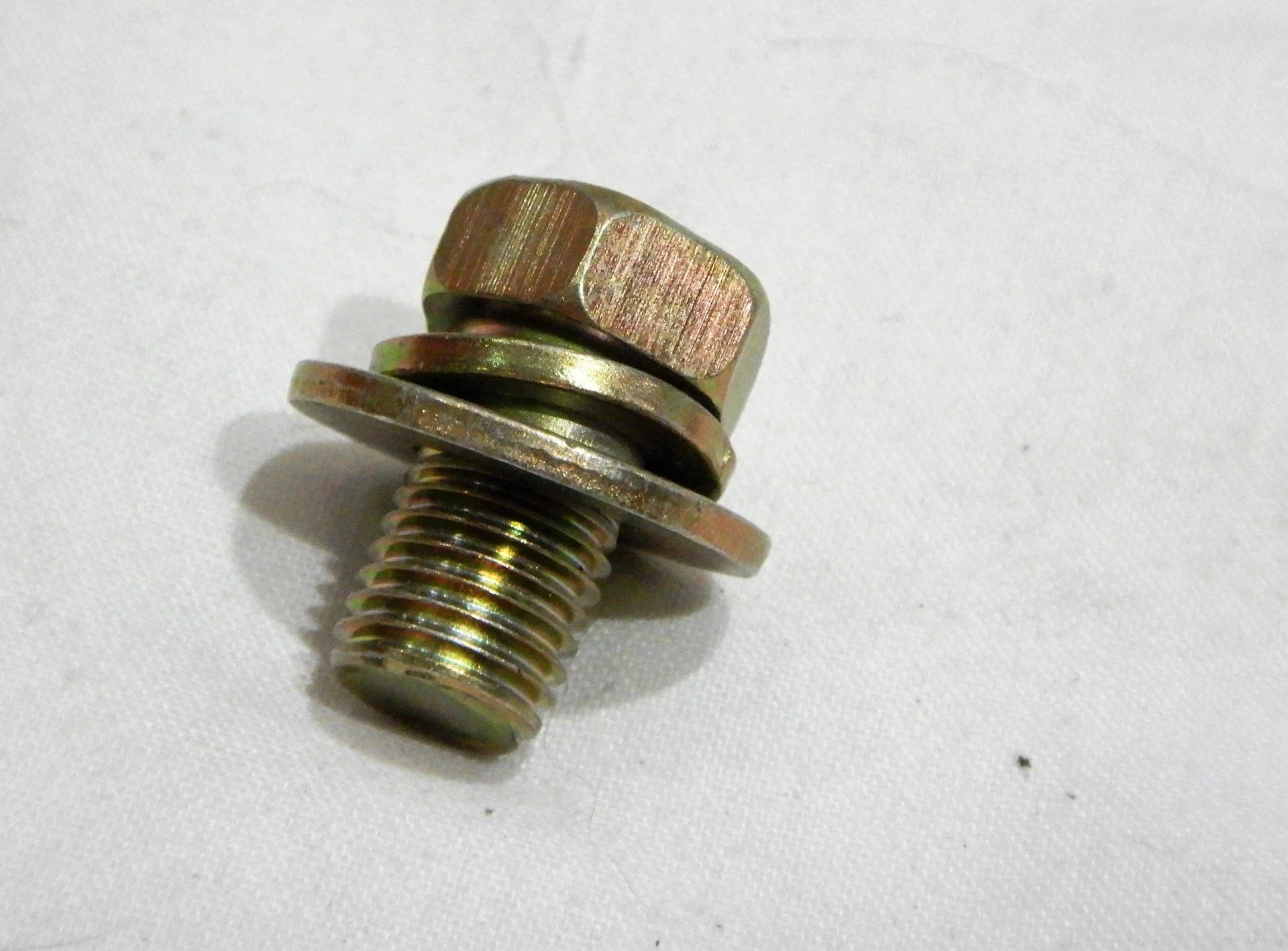 DSCN5446.webp