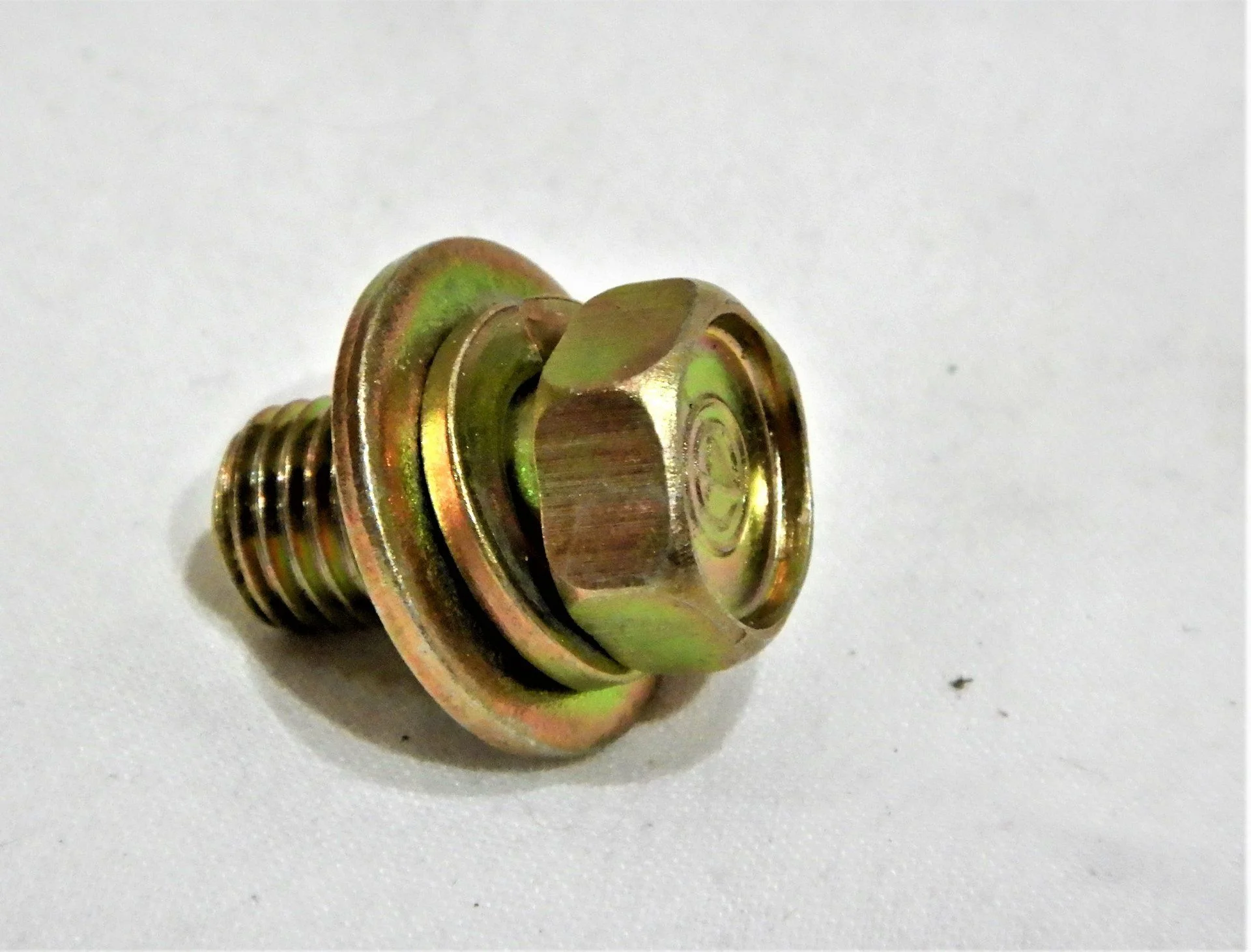 DSCN5447.webp