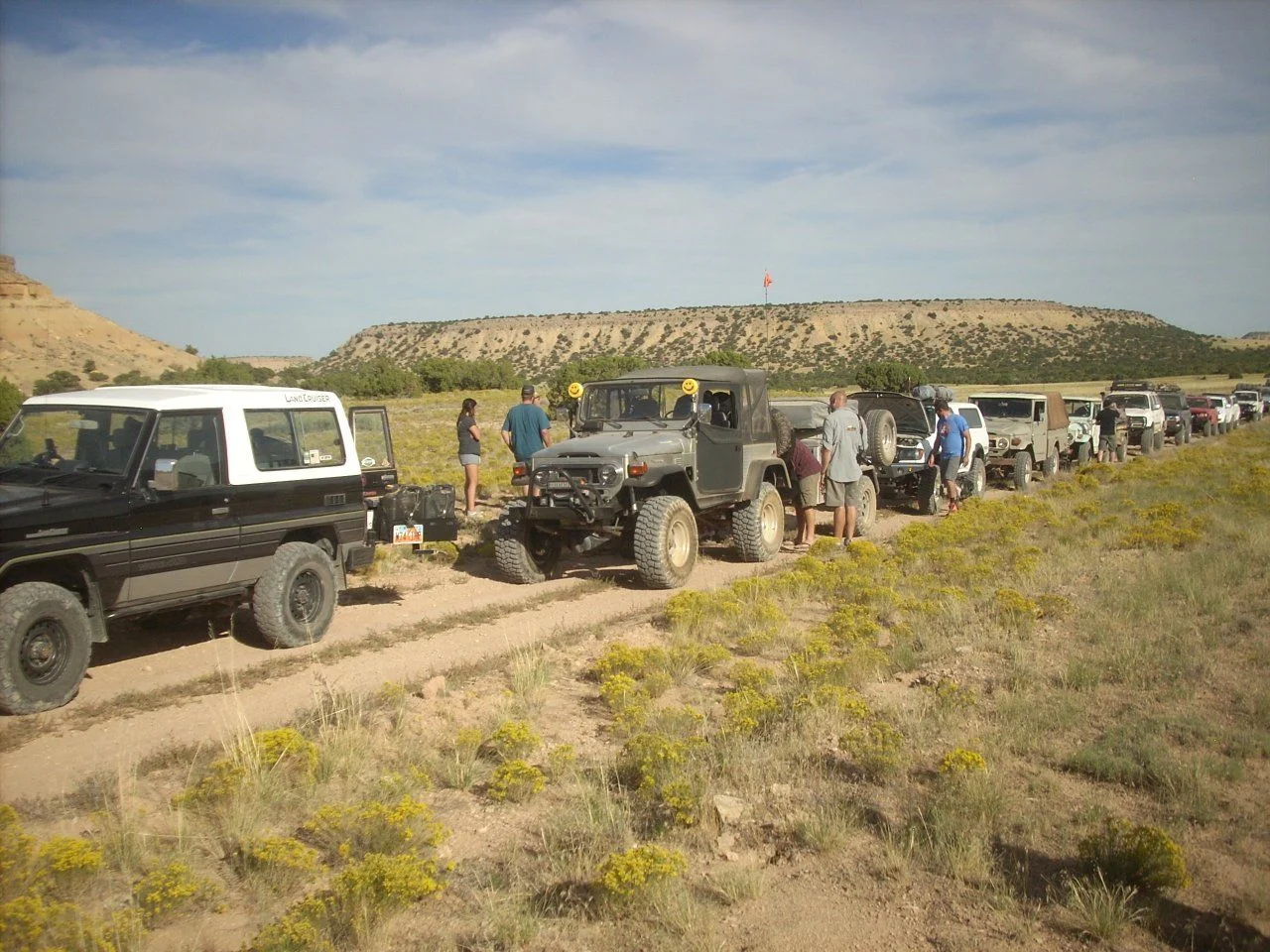 DSCN5450.webp