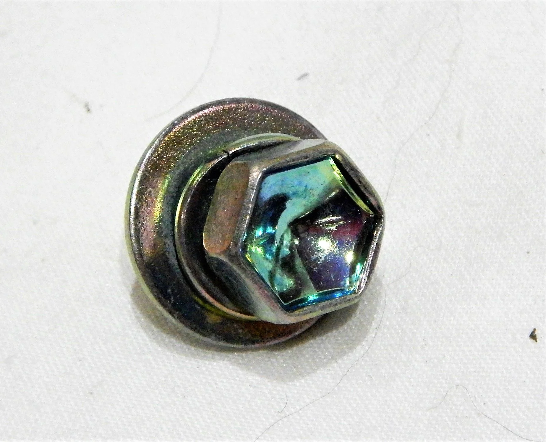 DSCN5453.webp