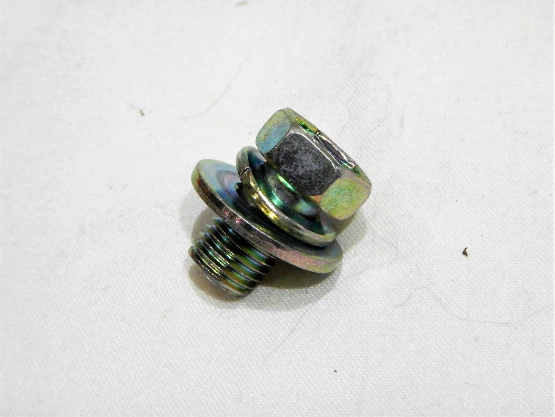 DSCN5454.webp