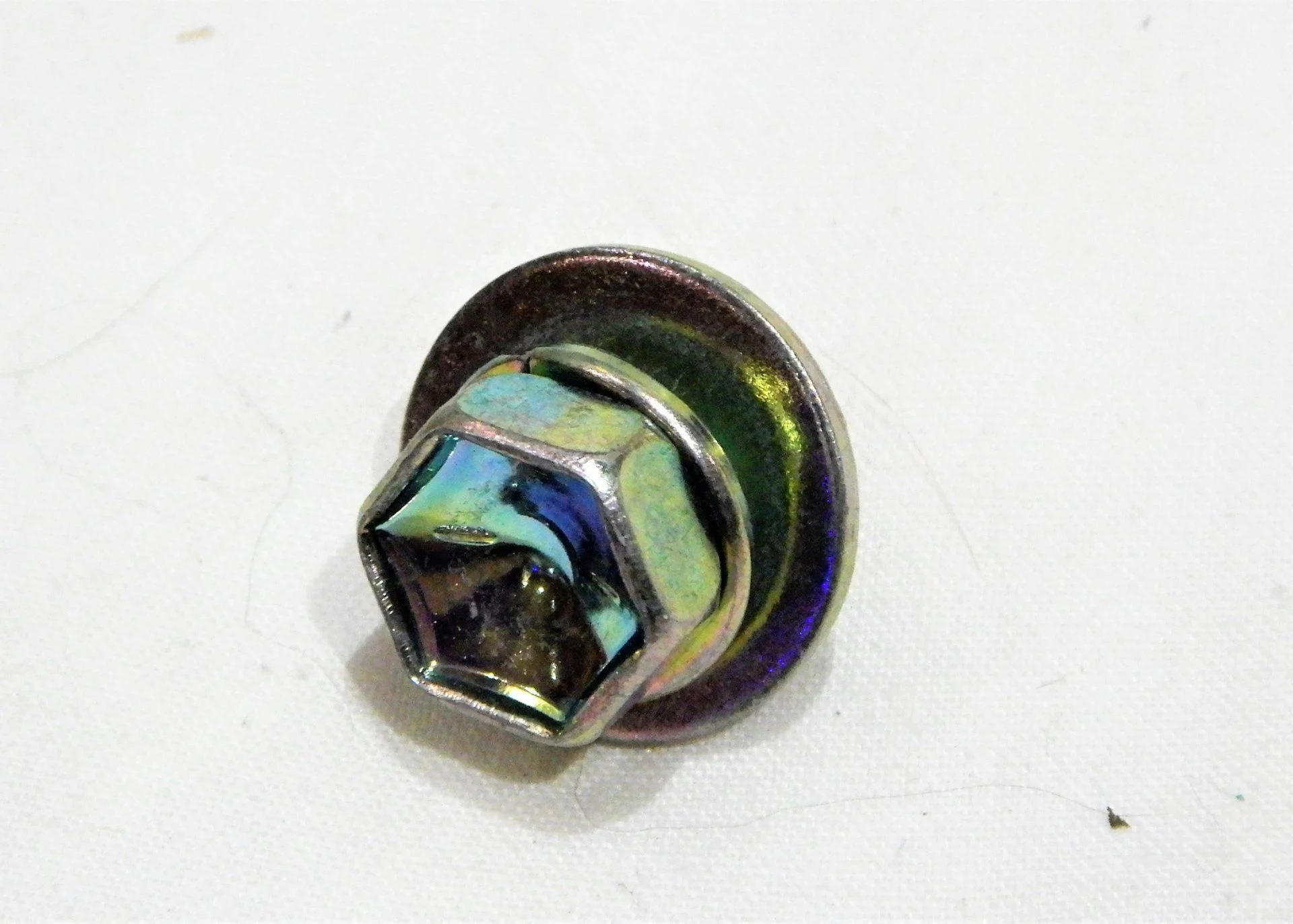 DSCN5456.webp