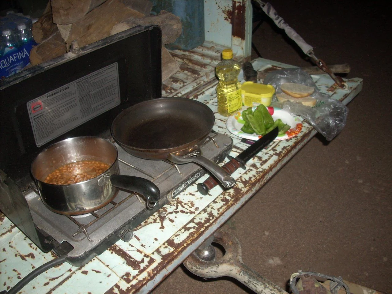 DSCN5475.webp