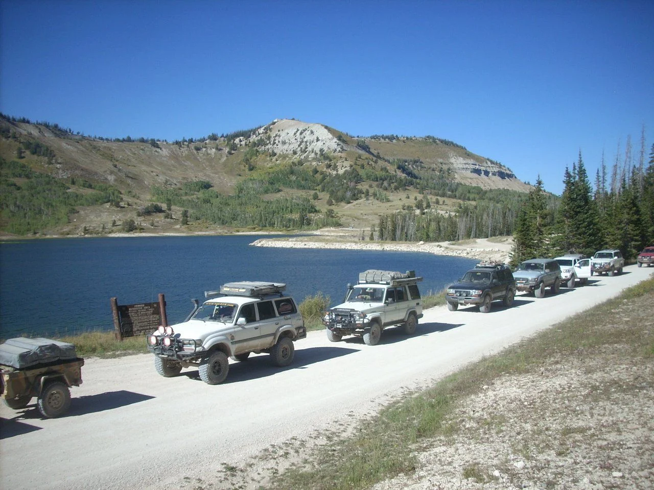 DSCN5529.webp