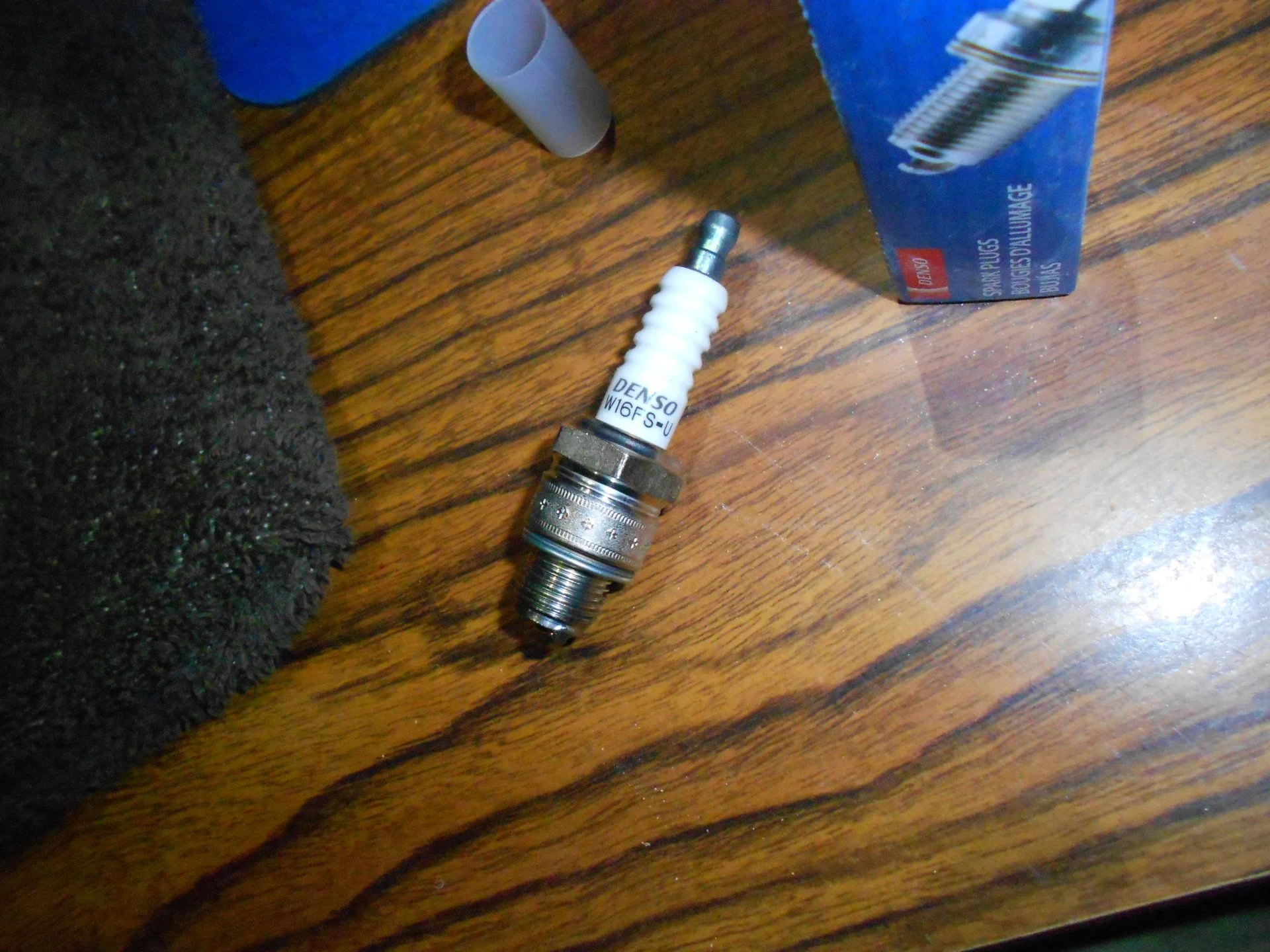 DSCN5663.webp