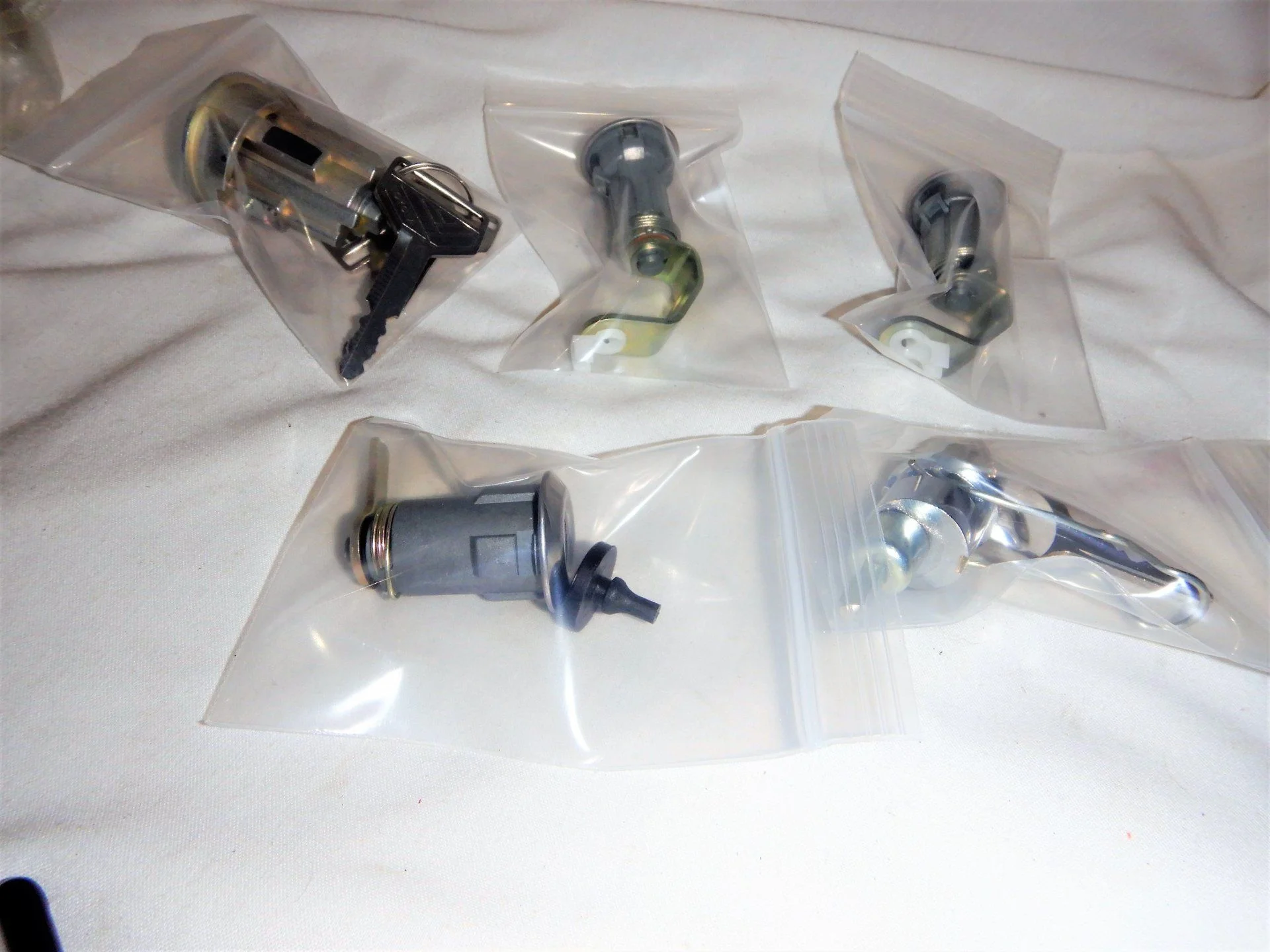 DSCN5691.webp