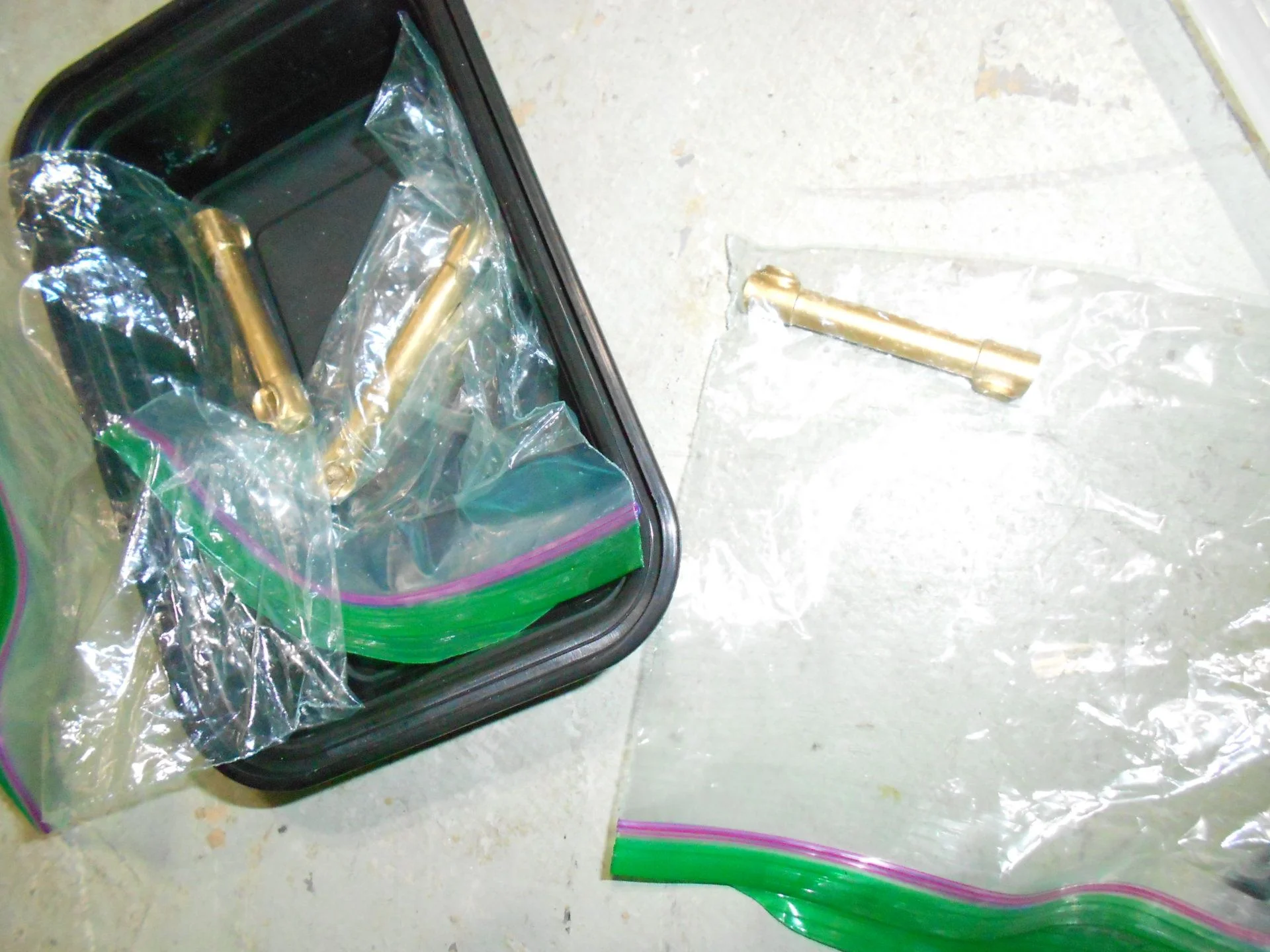 DSCN5696.webp