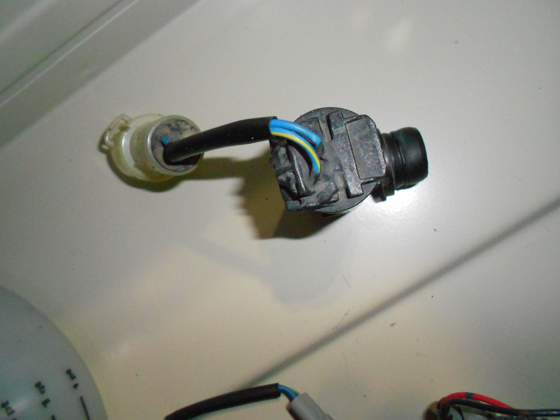 DSCN5718.JPG