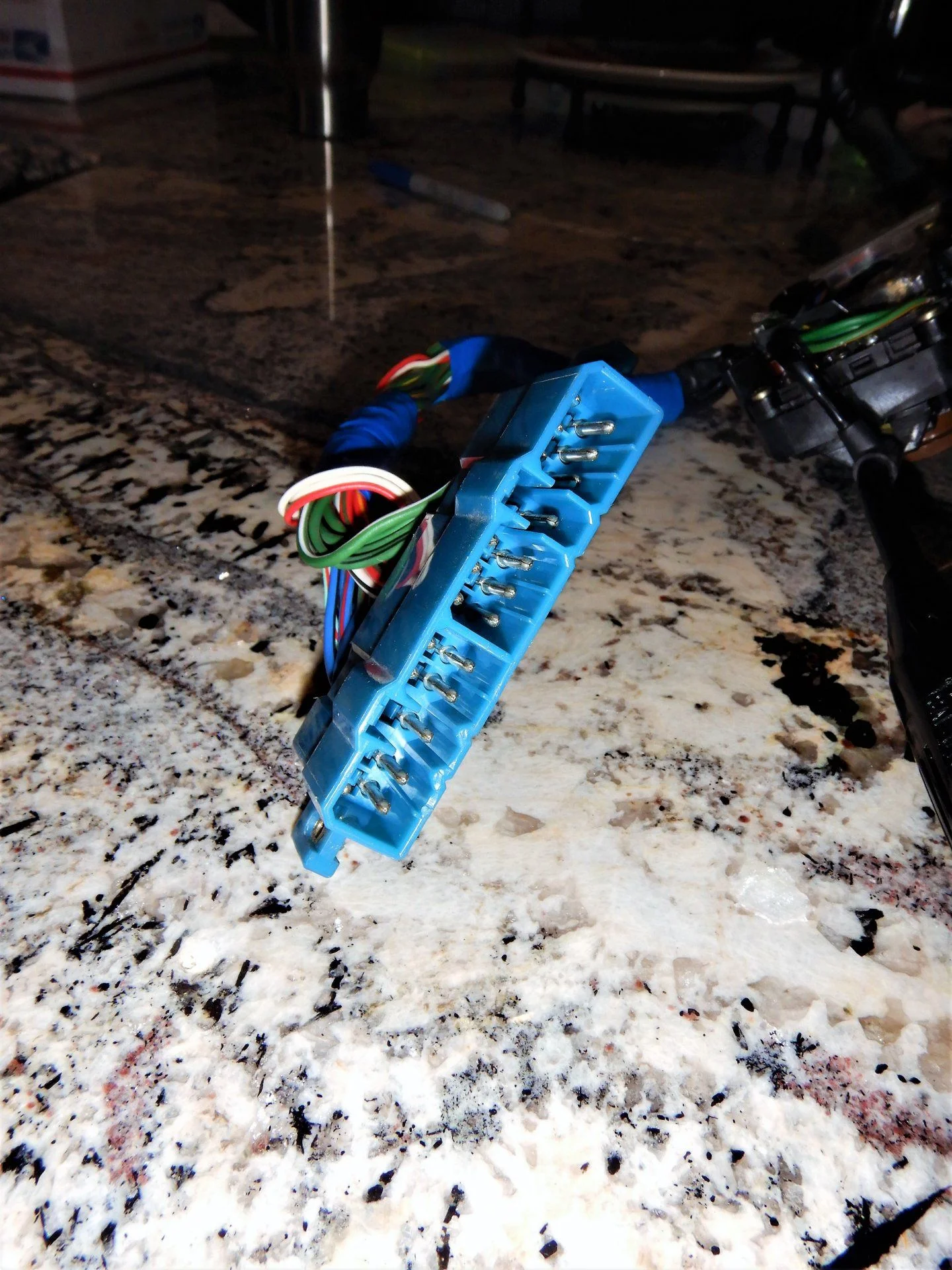 DSCN5731.webp