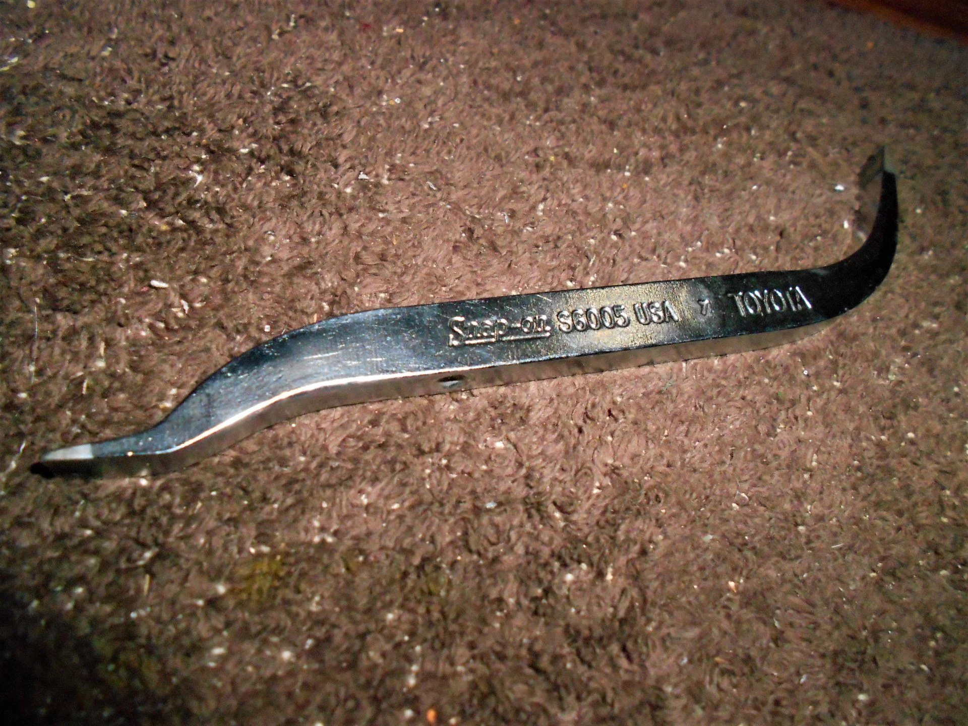 DSCN5857.webp