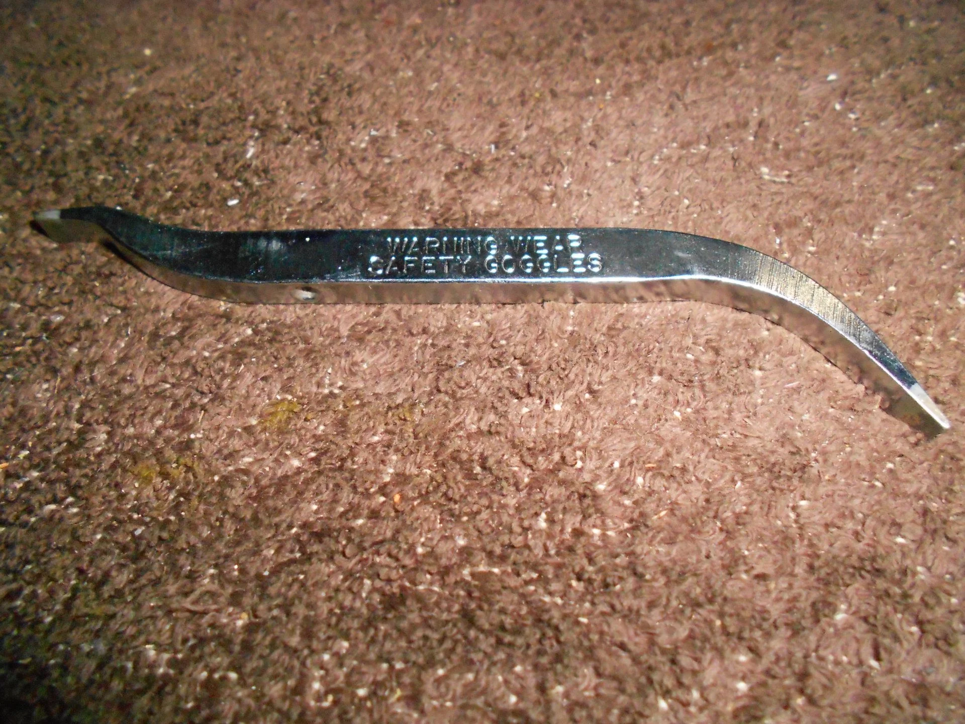 DSCN5859.webp