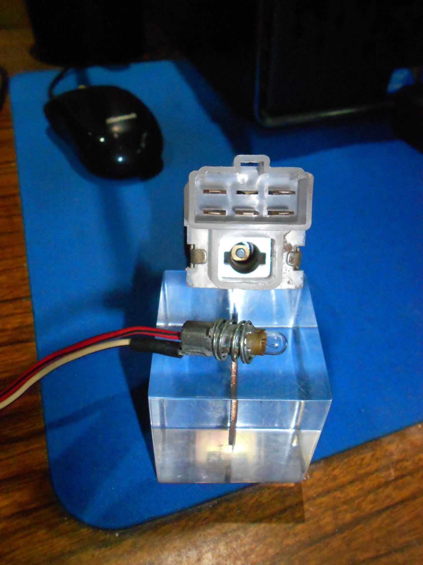 DSCN5910.webp