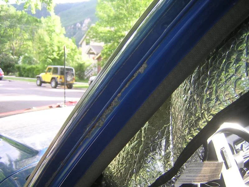 DSCN5999.webp