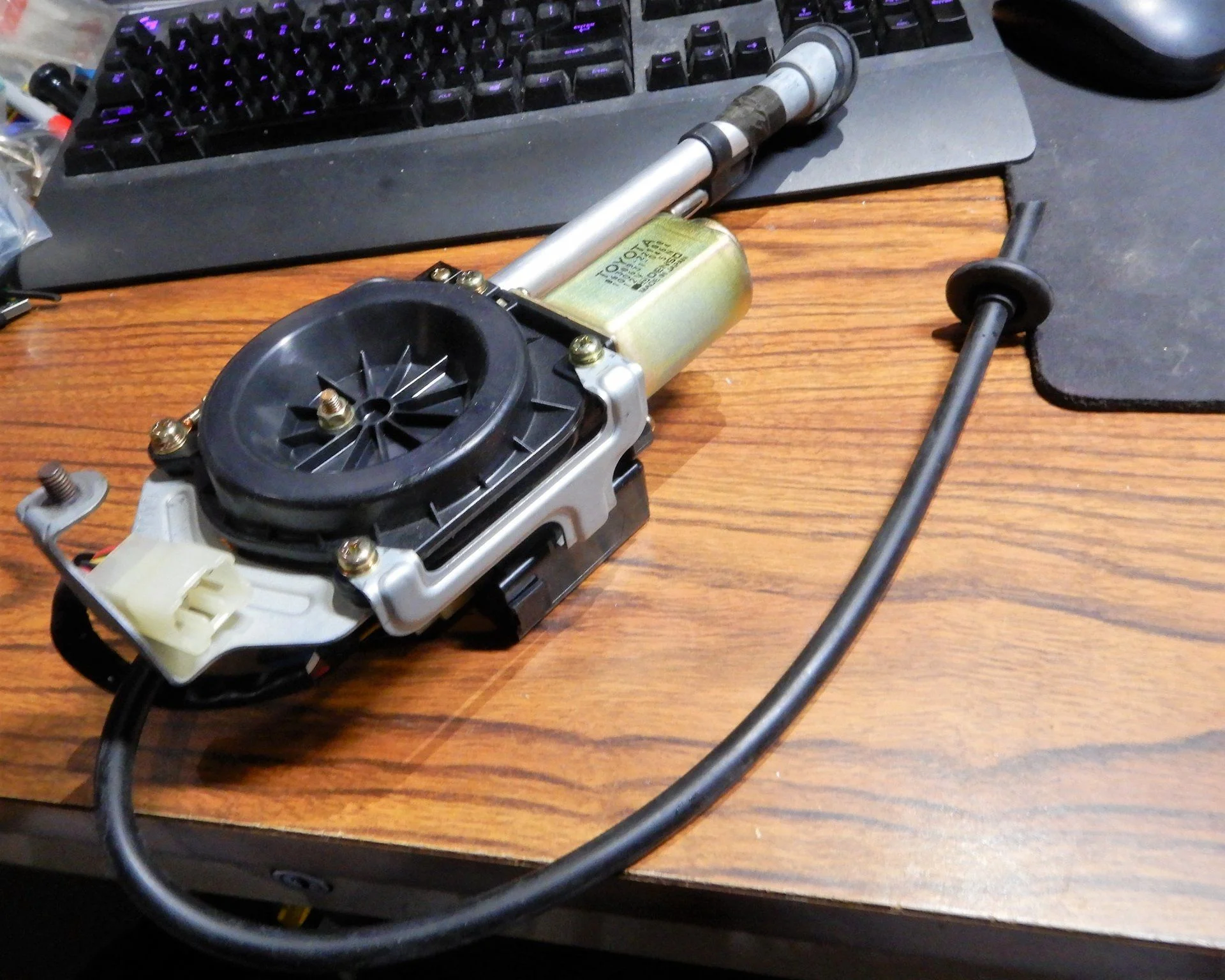 DSCN6018.webp