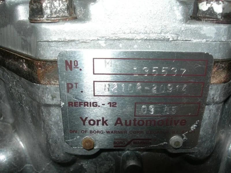 DSCN6091 (Medium).webp