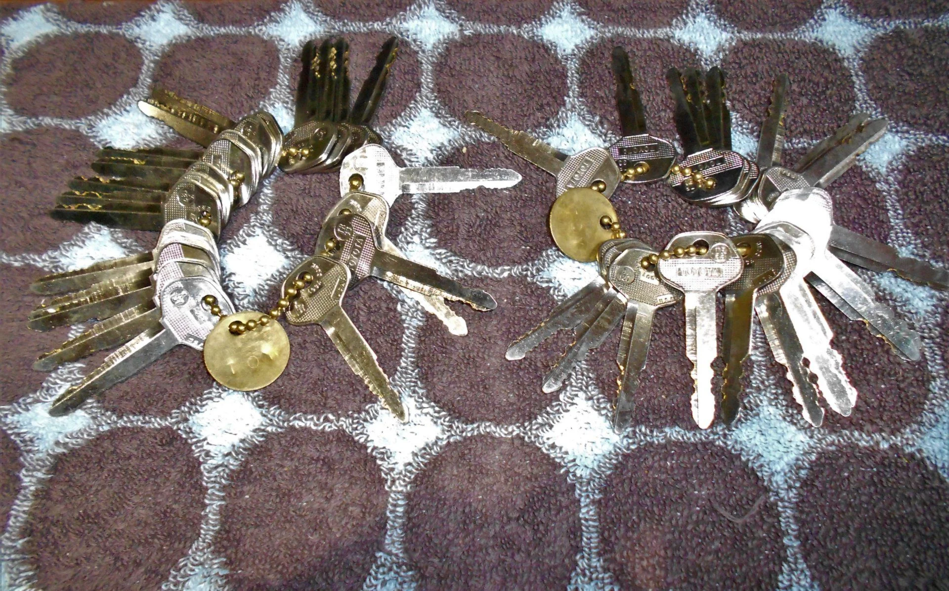 DSCN6156.webp