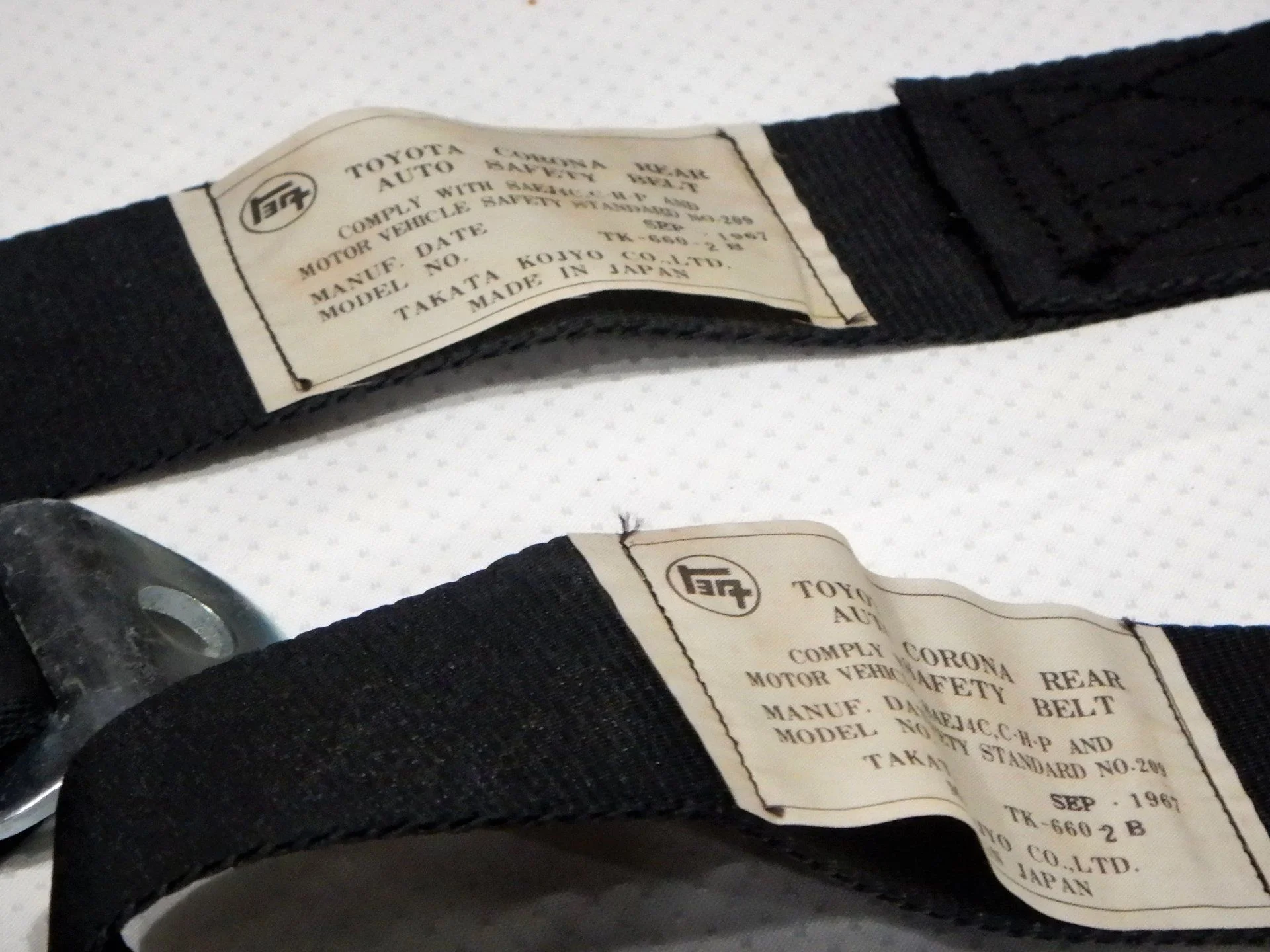 DSCN6217.webp