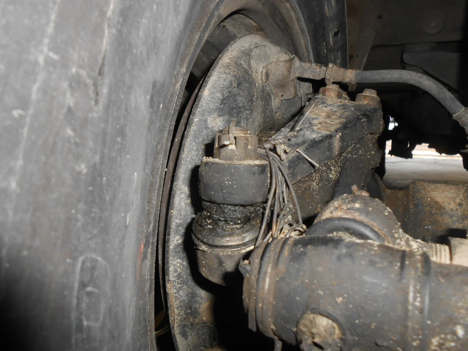 DSCN6227.webp