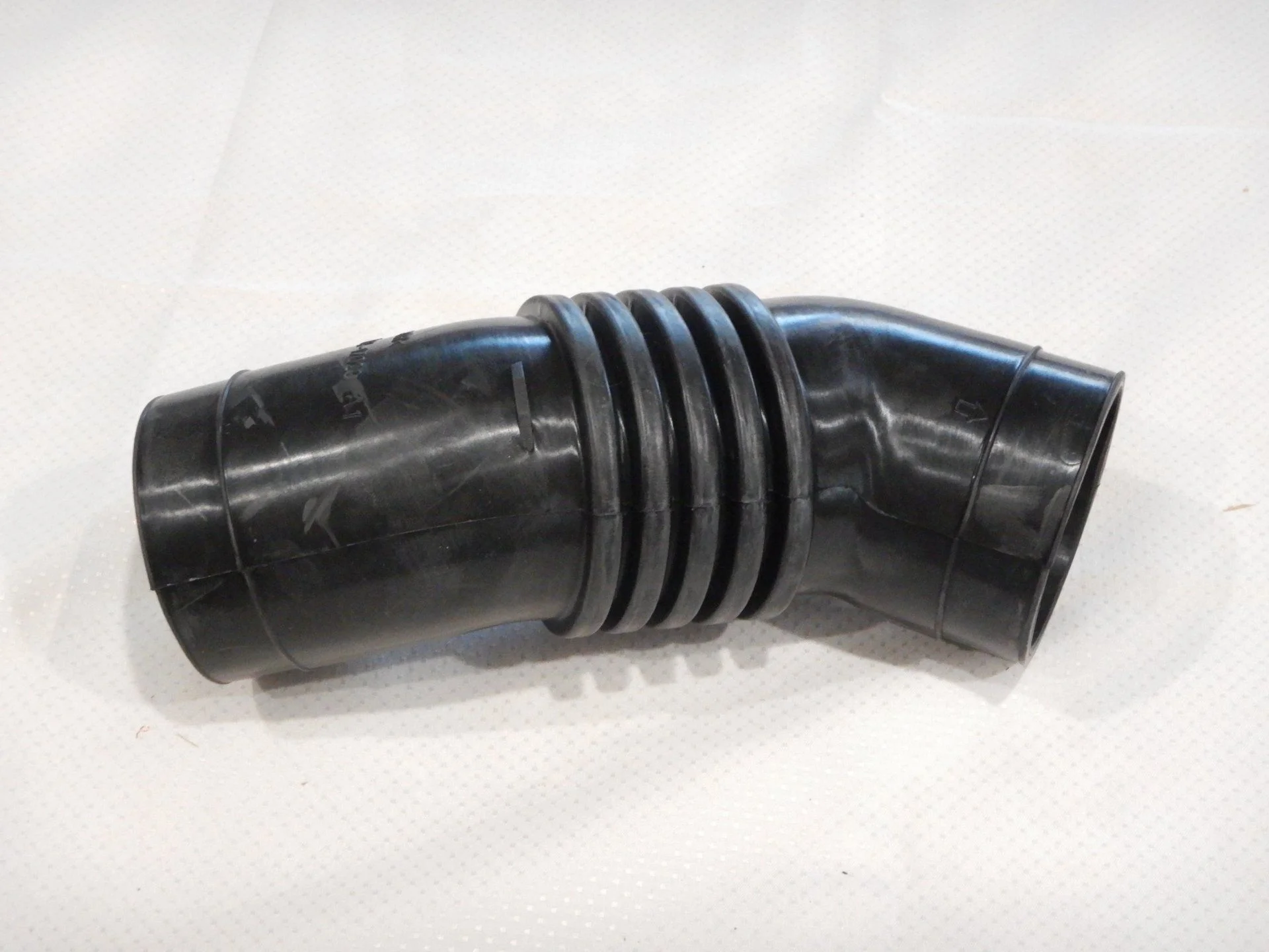 DSCN6241.webp