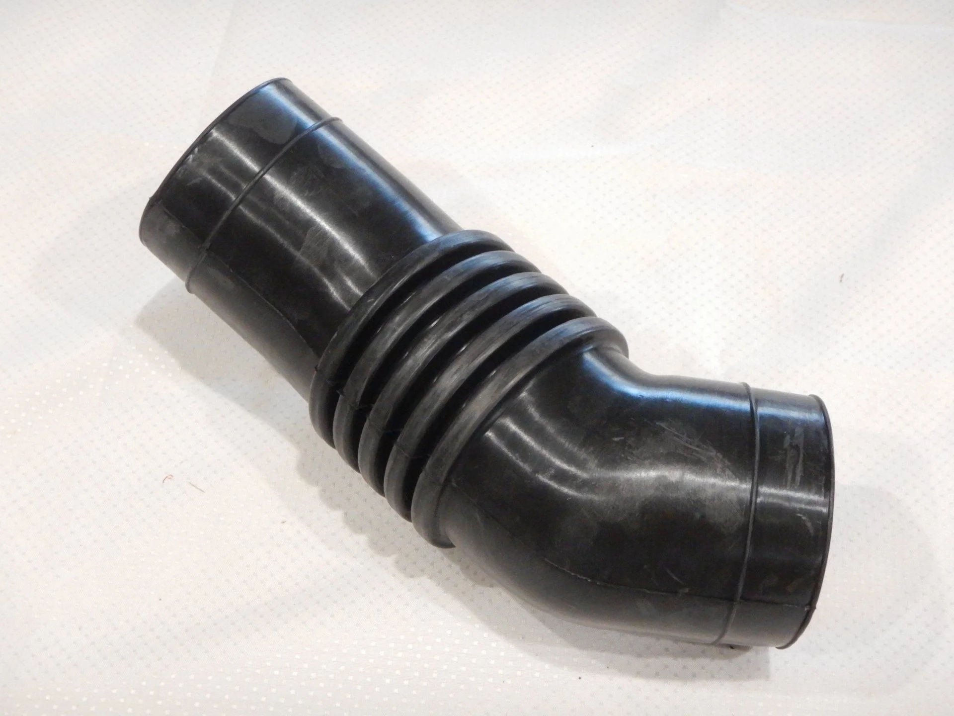 DSCN6242.webp
