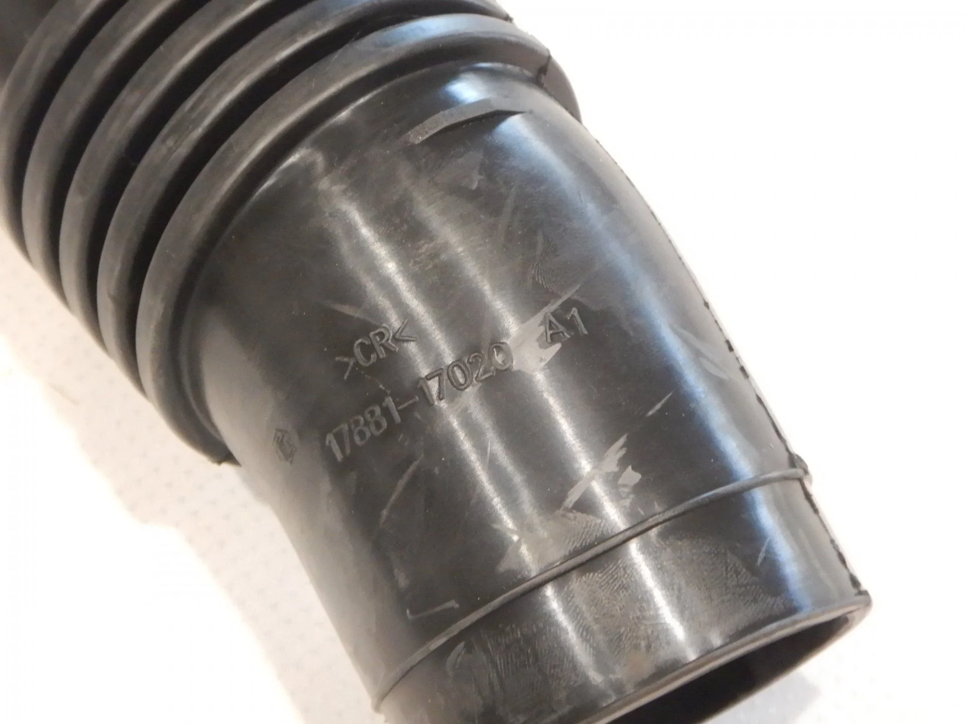DSCN6243.webp