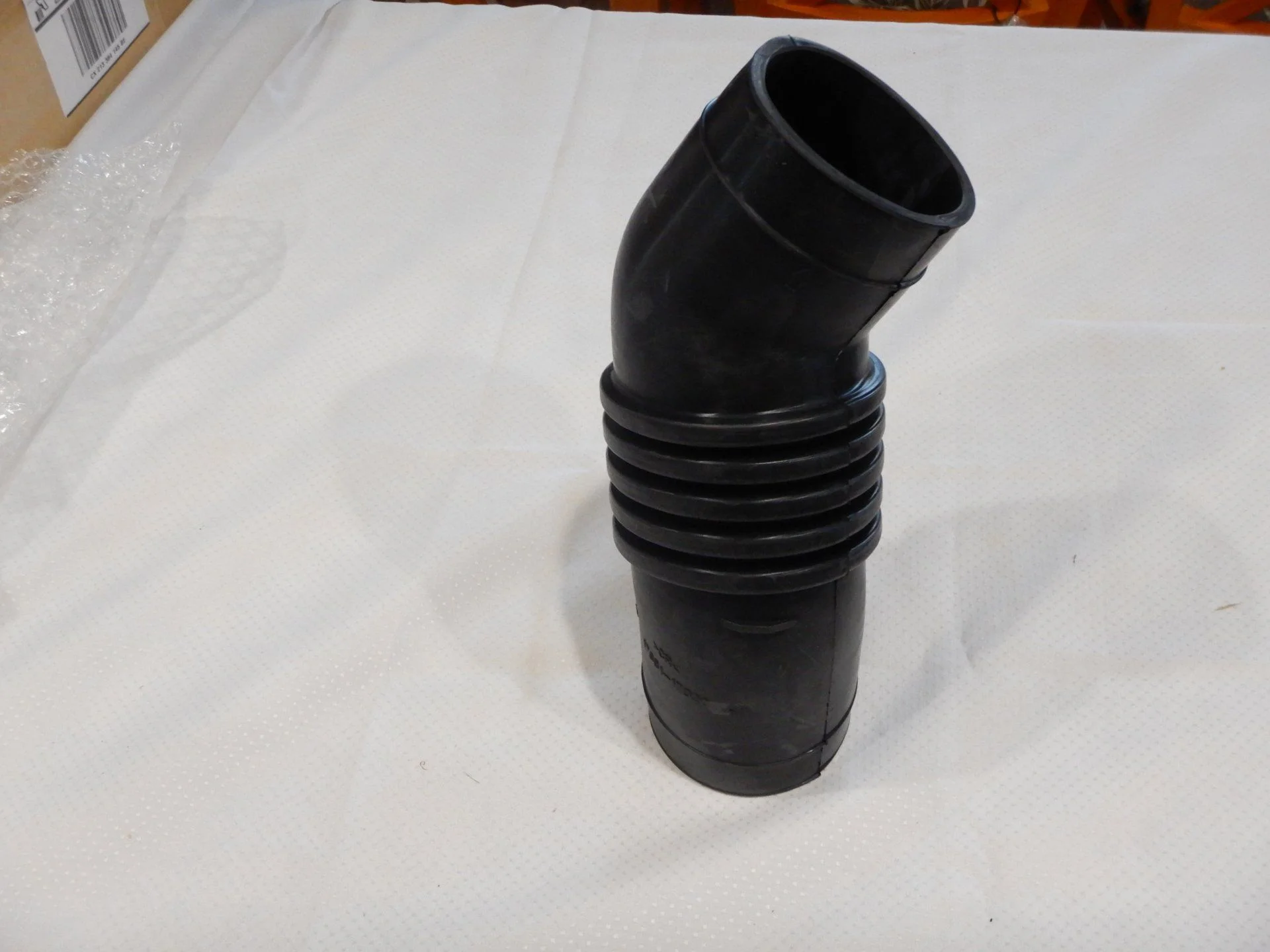 DSCN6245.webp
