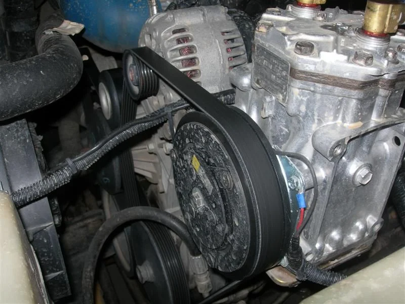DSCN6262 (Medium).webp