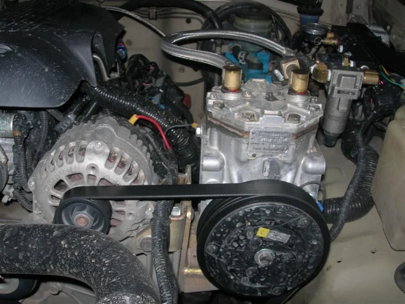 DSCN6263 (Medium).webp
