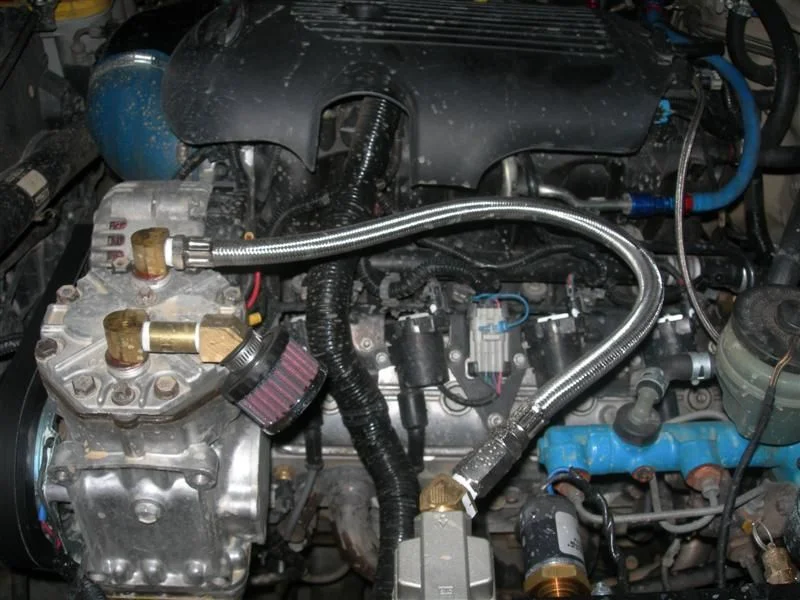 DSCN6264 (Medium).webp