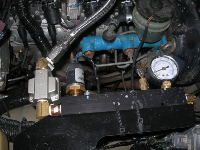 DSCN6265 (Medium).webp