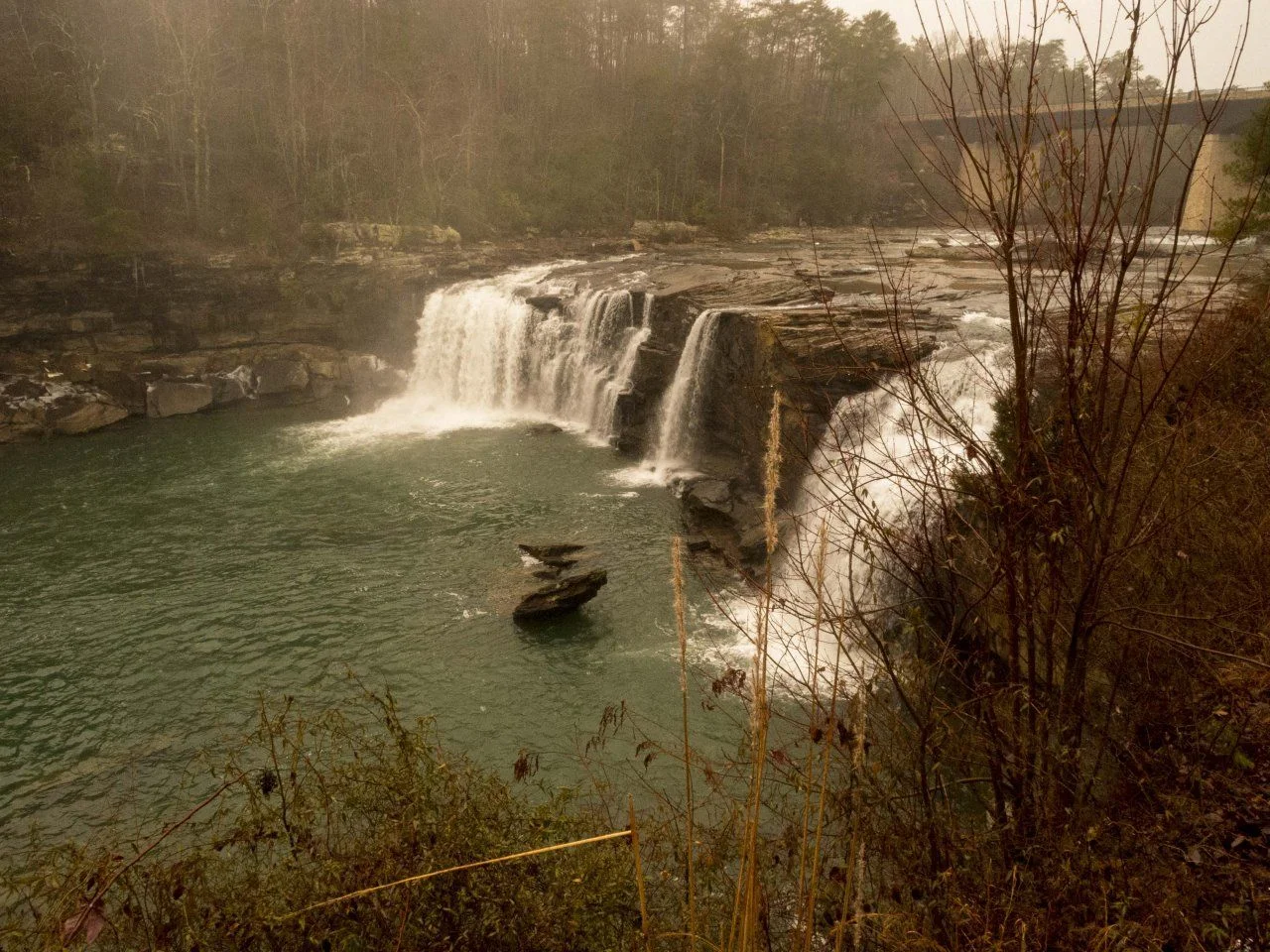 DSCN6337A.webp
