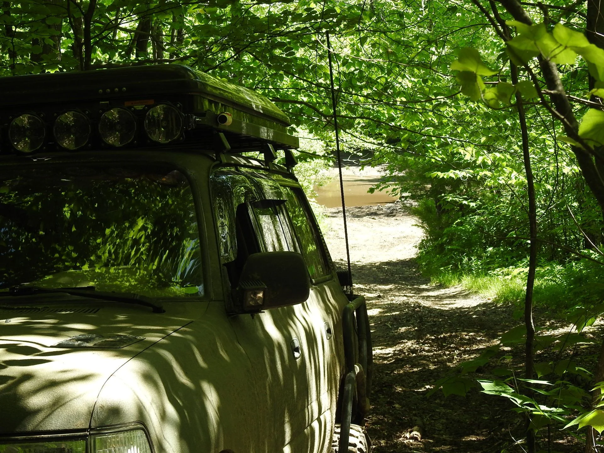 DSCN6353.webp