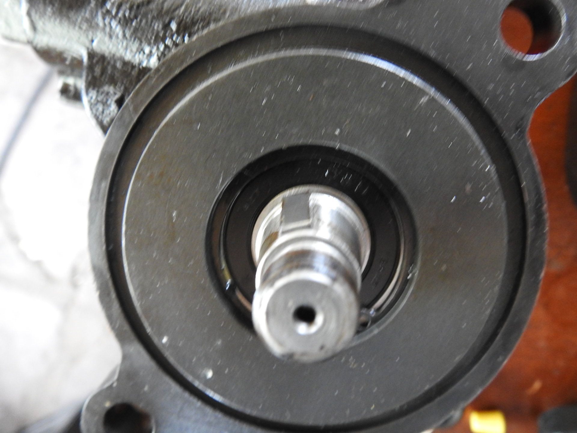 DSCN6516.JPG