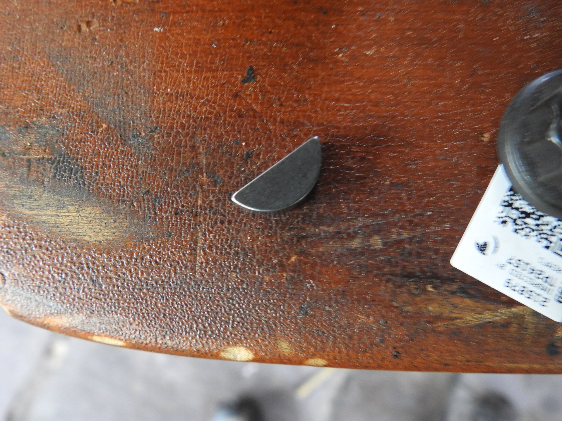 DSCN6517.JPG